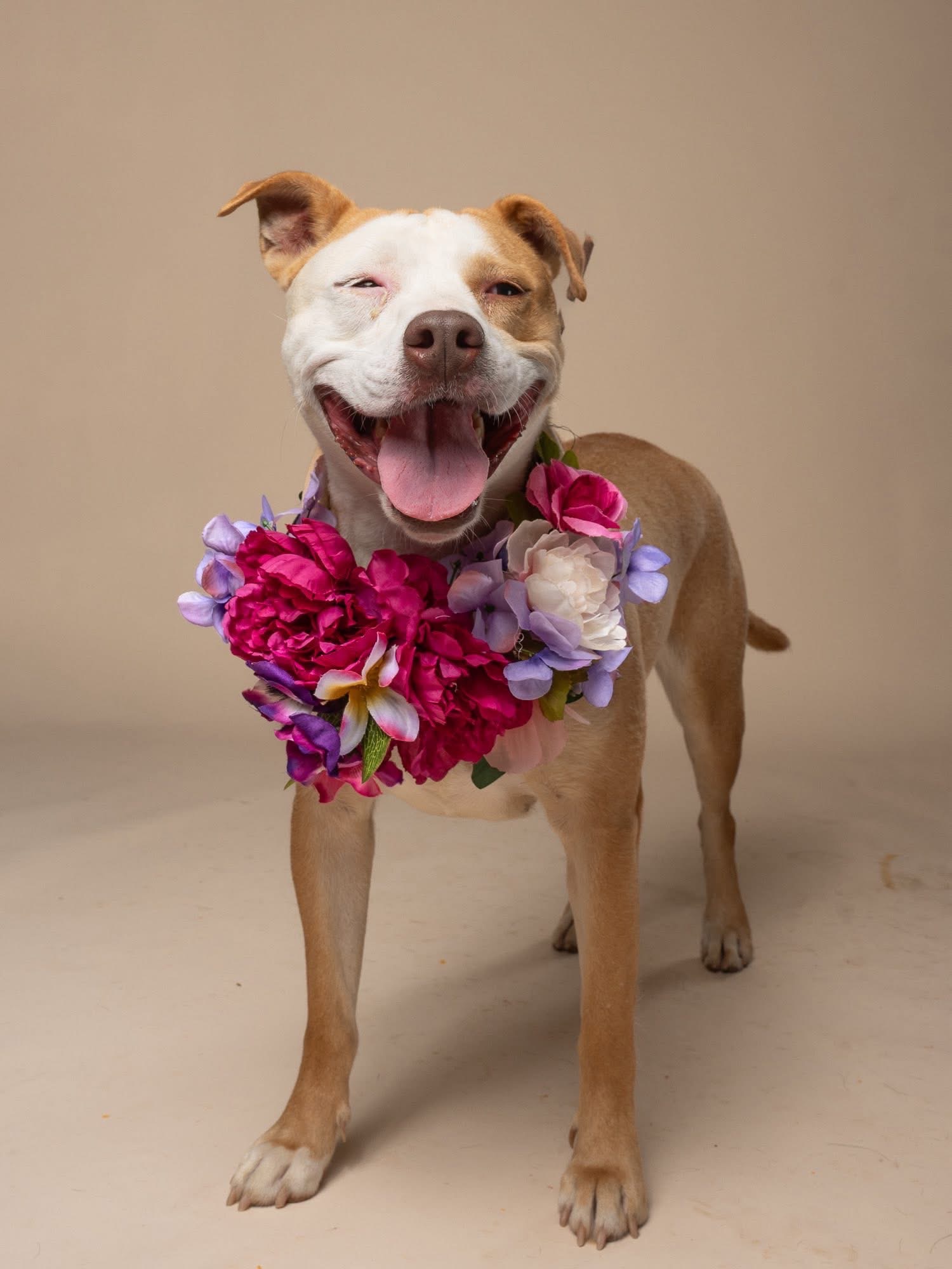 Help Her Finish Her Journey Home ❤️ campaign photo, 4 of 5