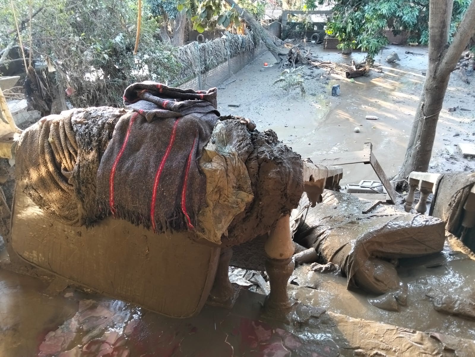 Poza Rica needs our help after the flood campaign photo, 7 of 8