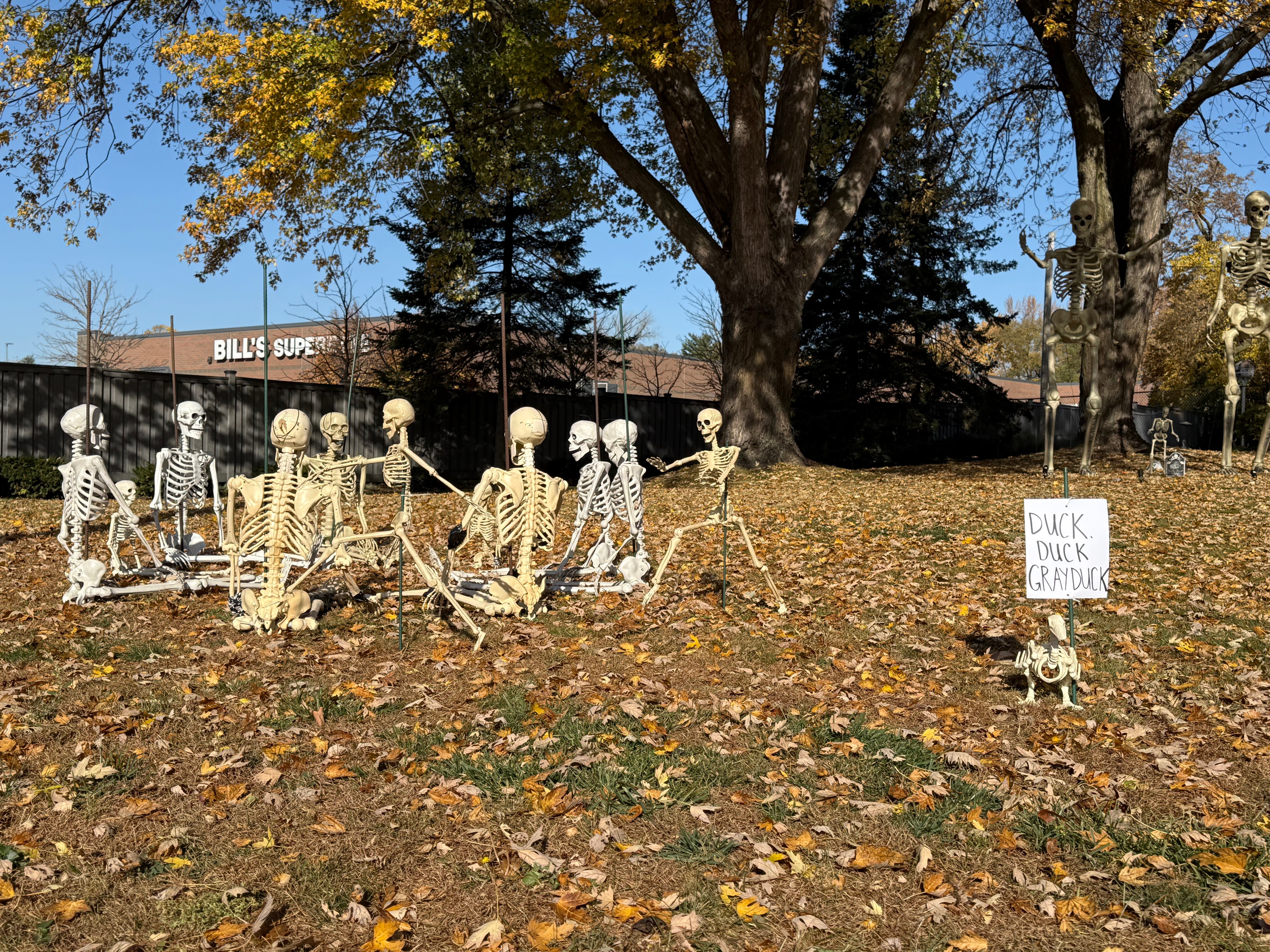 Help Restore Our Skeleton Display campaign photo, 2 of 4