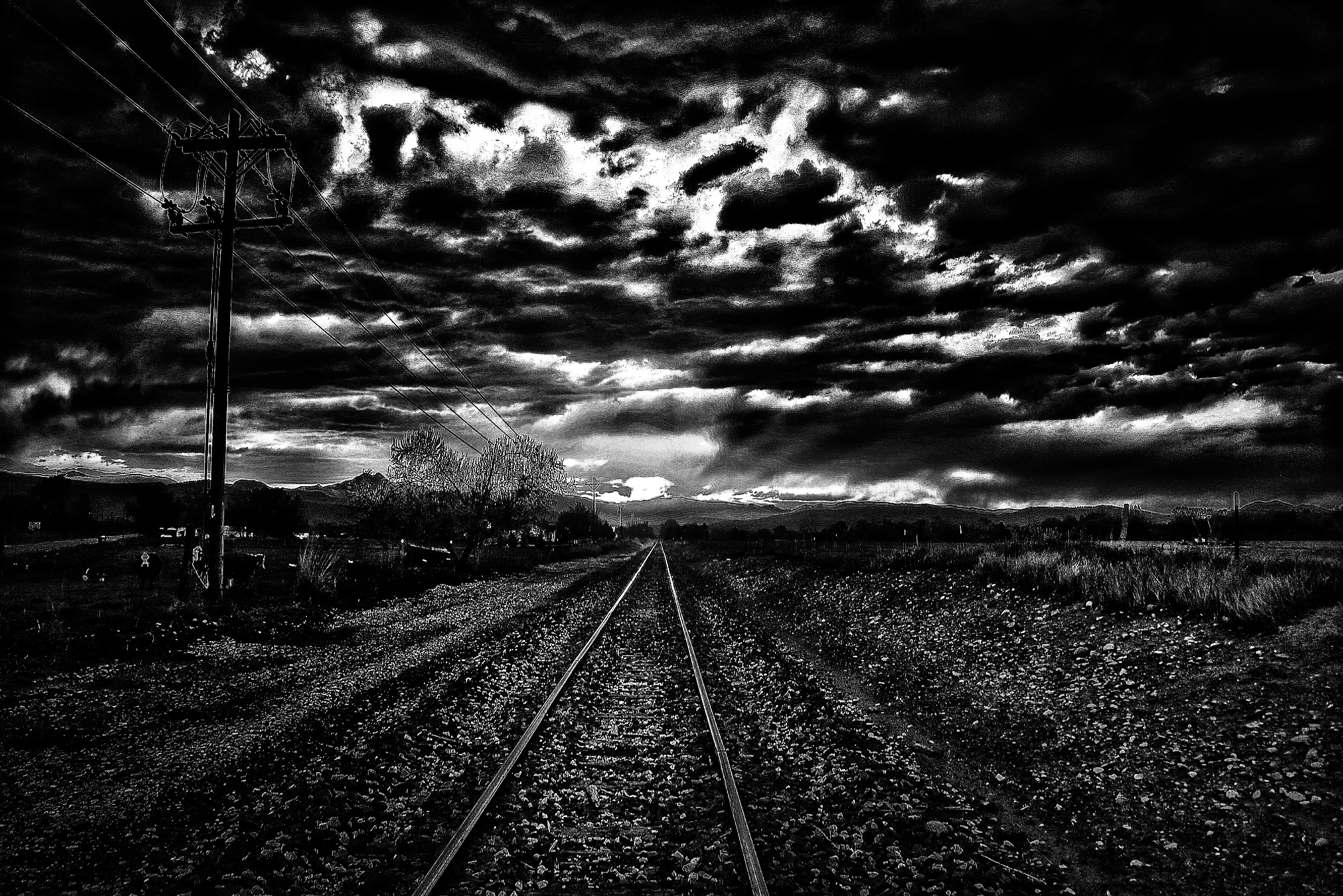 Help Fund Growing Up Apocalypse: A Multimedia Journey campaign photo, 2 of 4