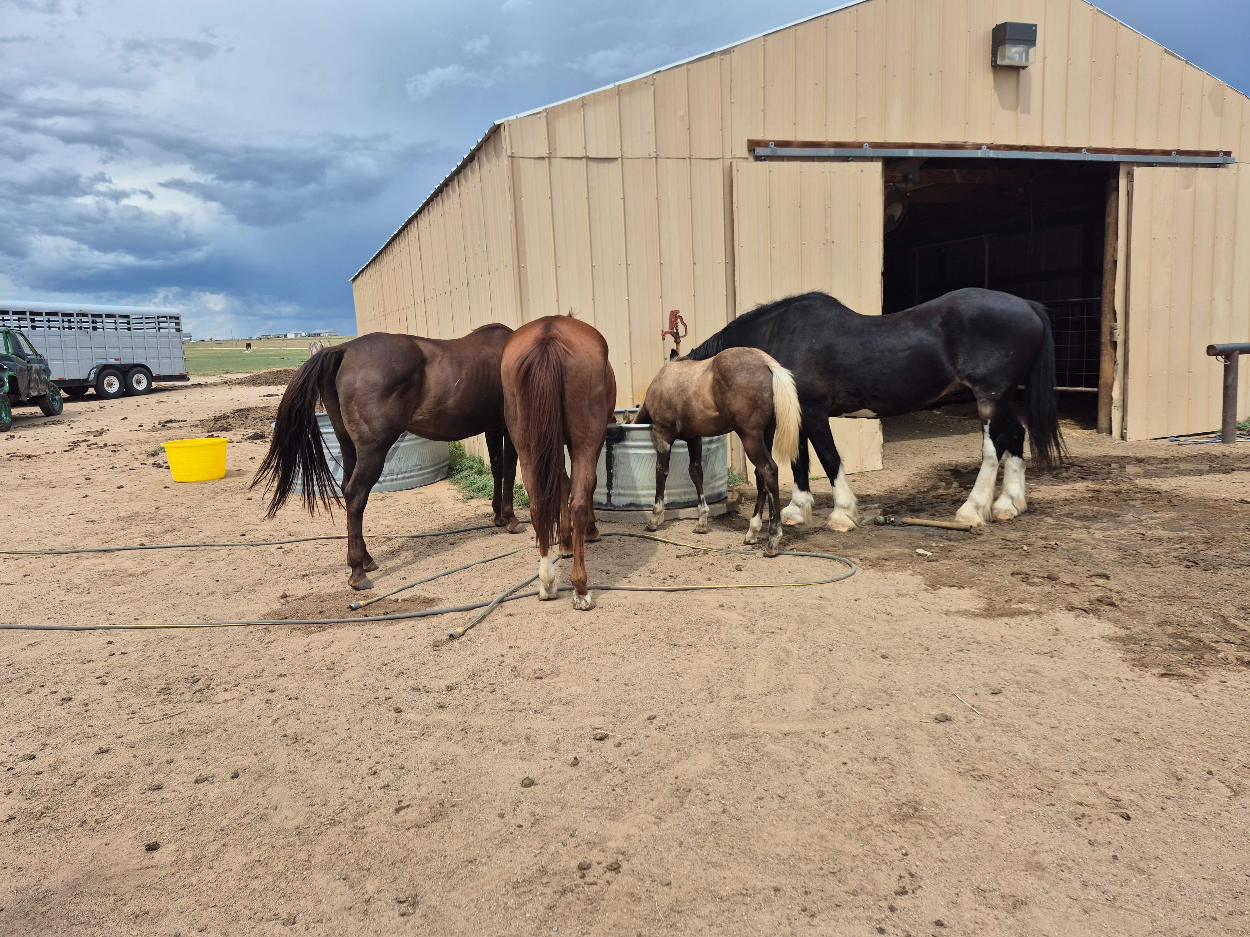 Support Houghton Healing & Therapy’s Mission campaign photo, 5 of 7