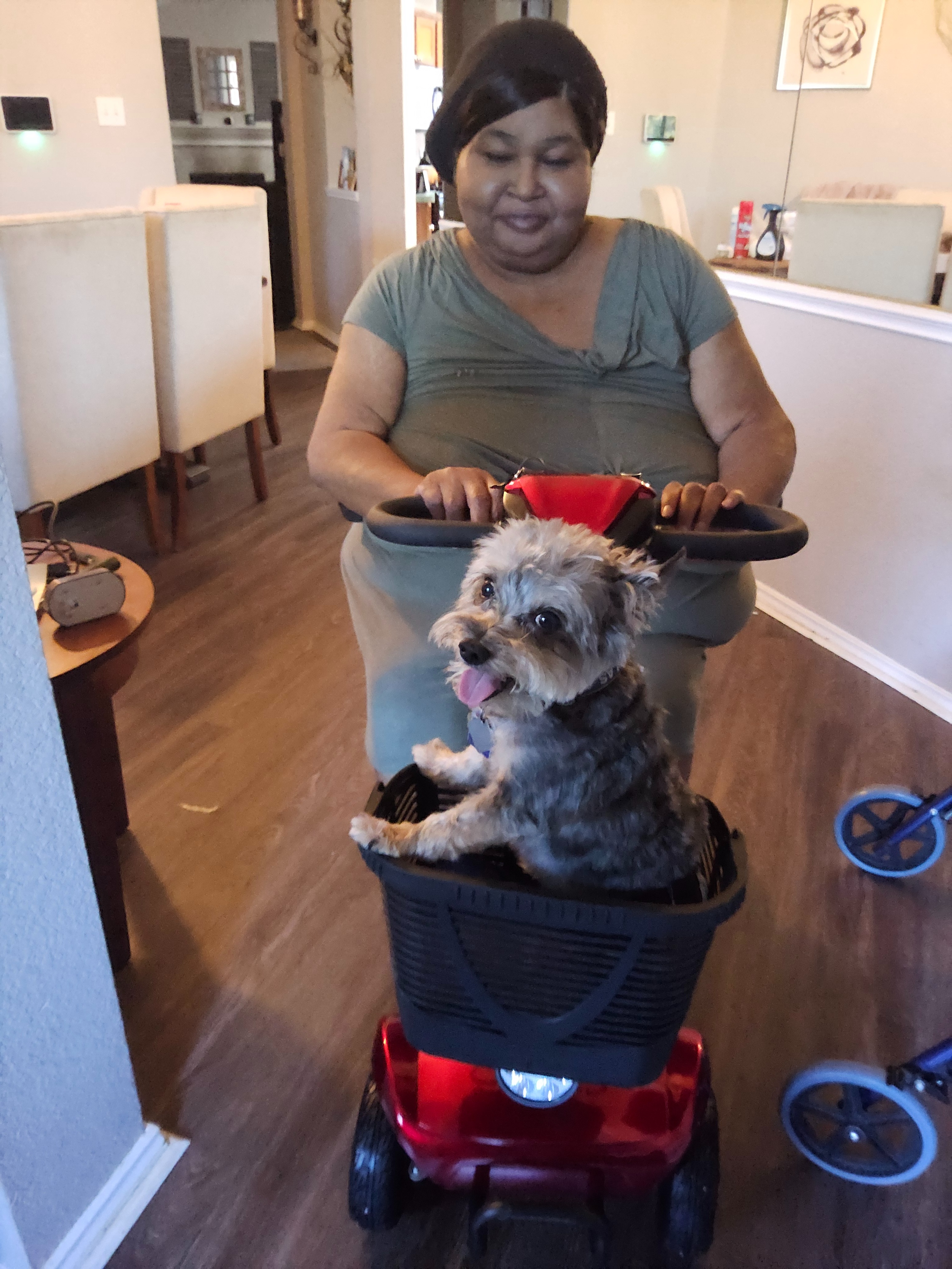 Support Jackie’s Journey to Medical Independence campaign photo, 6 of 7