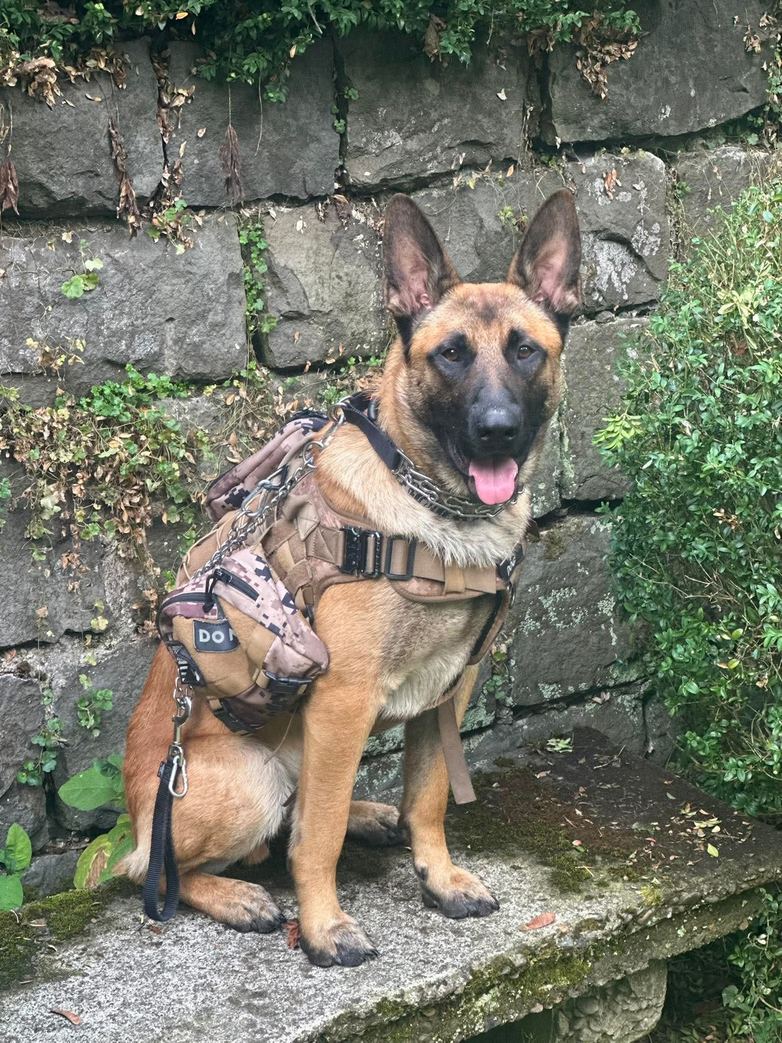 Support for a Service Dog Deposit campaign photo, 2 of 5