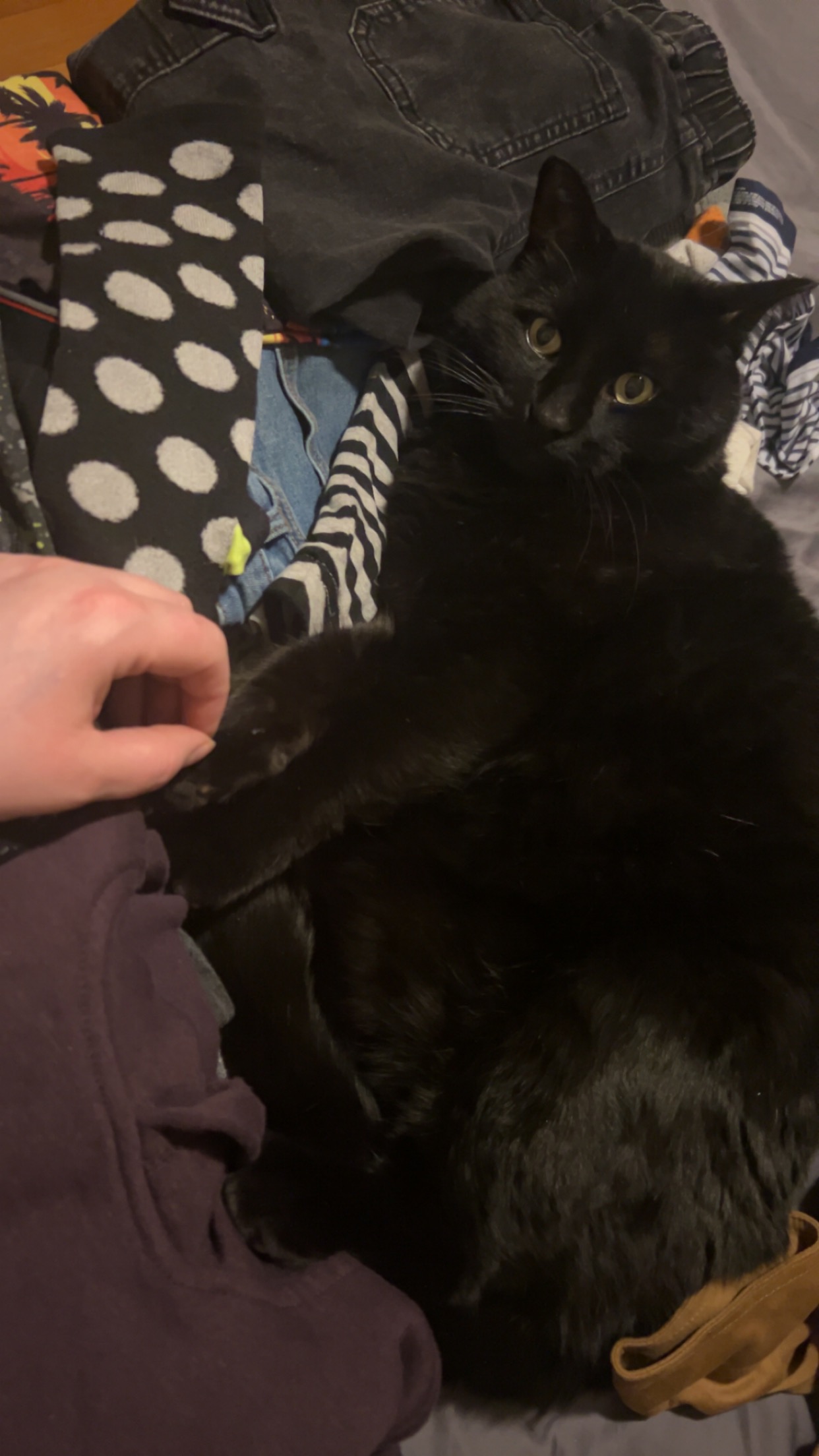 Black Cat Magic campaign photo, 4 of 5