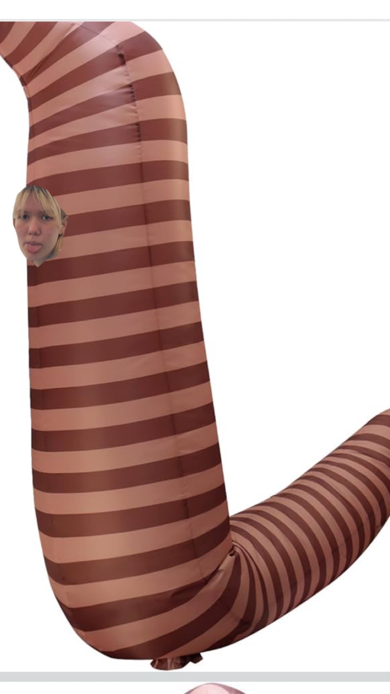 Help Ginger buy her dream worm costume campaign photo, 2 of 4