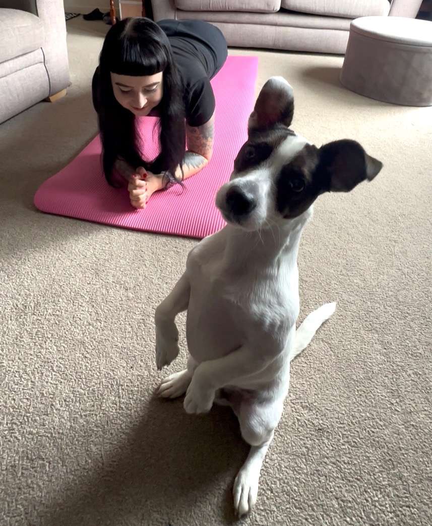 Laura and Reggie’s Plank for Pups Challenge campaign photo, 4 of 5