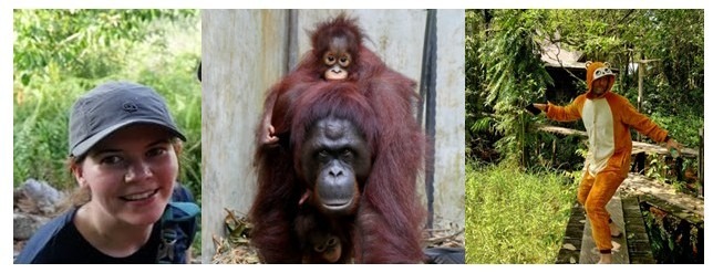 Bouncing around Borneo campaign photo, 2 of 3