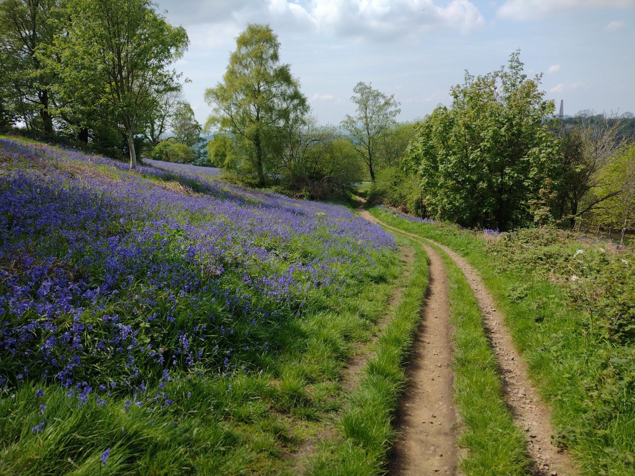 Defend Fair Governance on the Malvern Hills campaign photo, 6 of 7