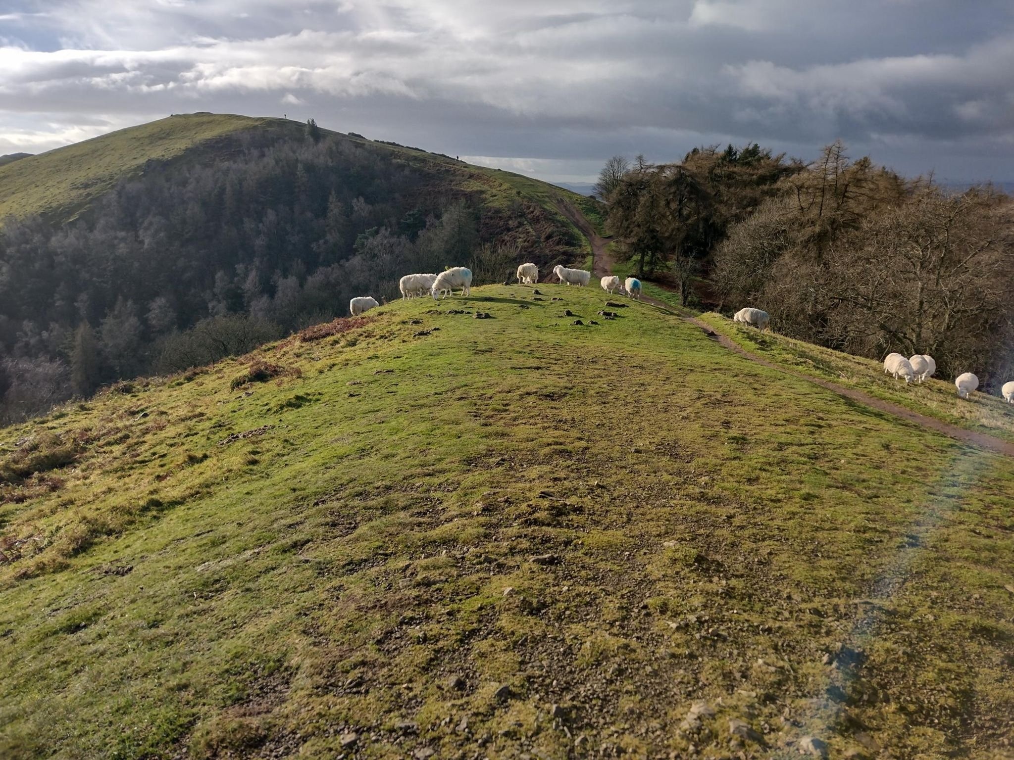 Defend Fair Governance on the Malvern Hills campaign photo, 4 of 7