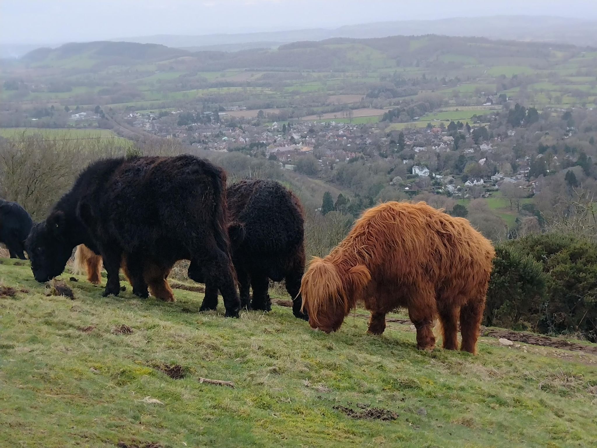 Defend Fair Governance on the Malvern Hills campaign photo, 5 of 7