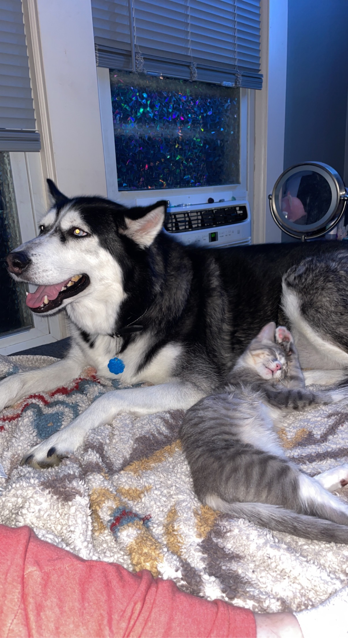 Xena's Battle With Primary Hyperparathyroidism campaign photo, 6 of 8