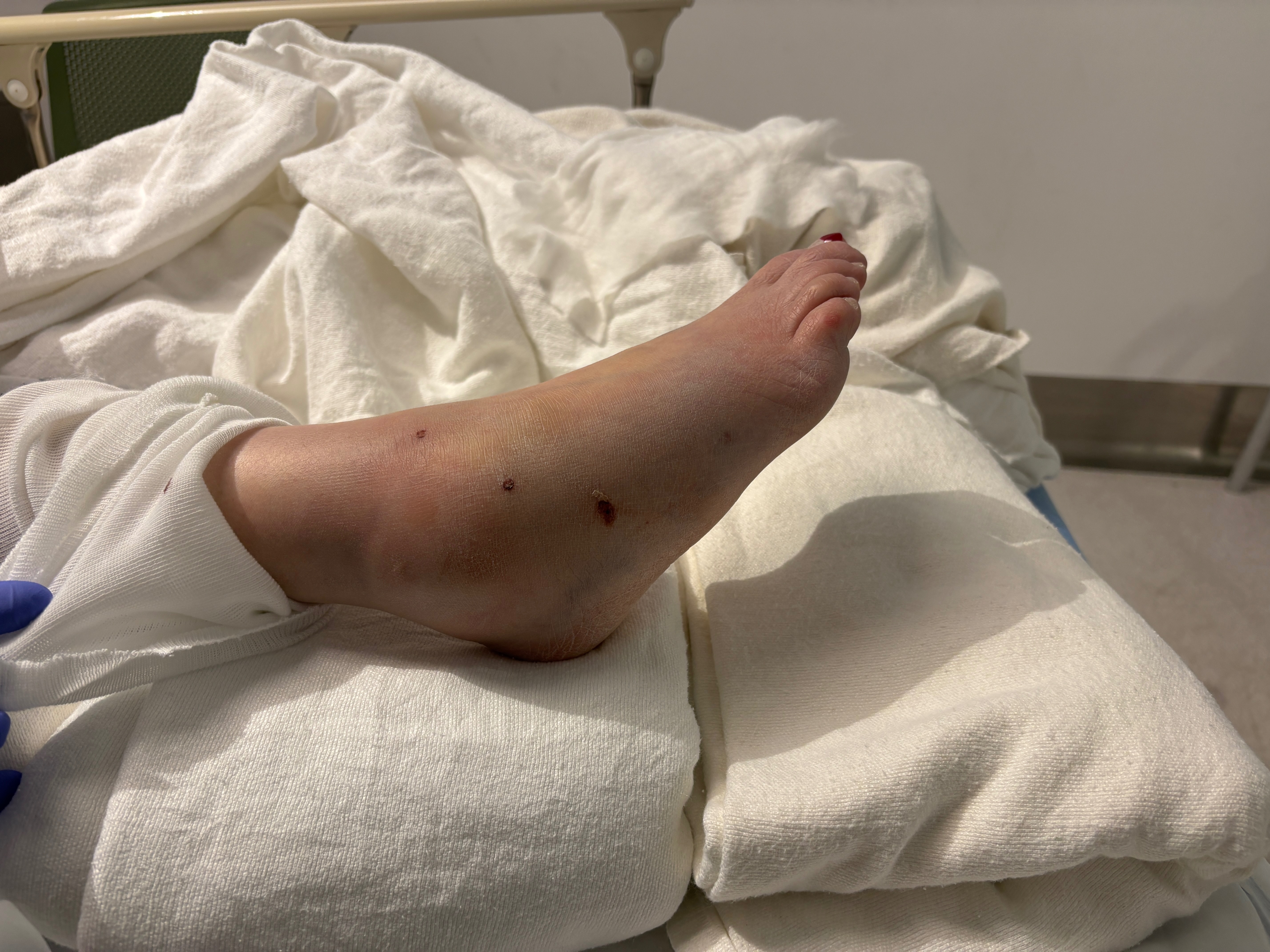 User-uploaded image 1