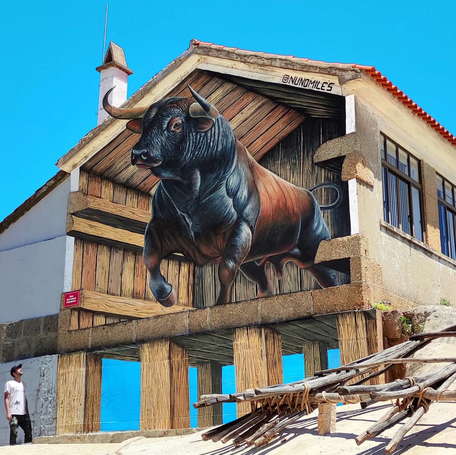 Museo de los Murales de la Luz: Transformando un Barrio. campaign photo, 6 of 8