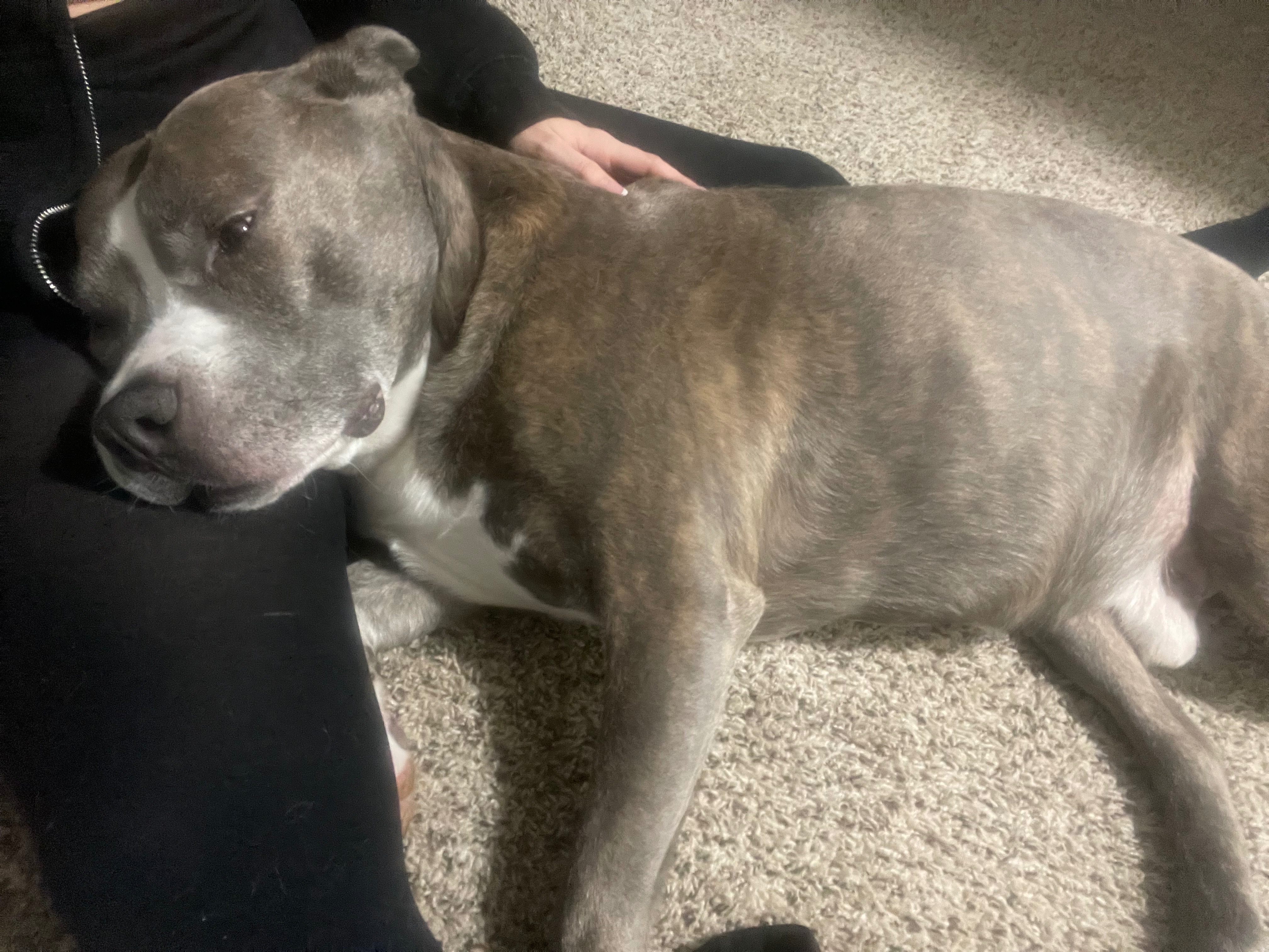 Help Gucci Baby Get Life-Saving Surgery campaign photo, 2 of 4