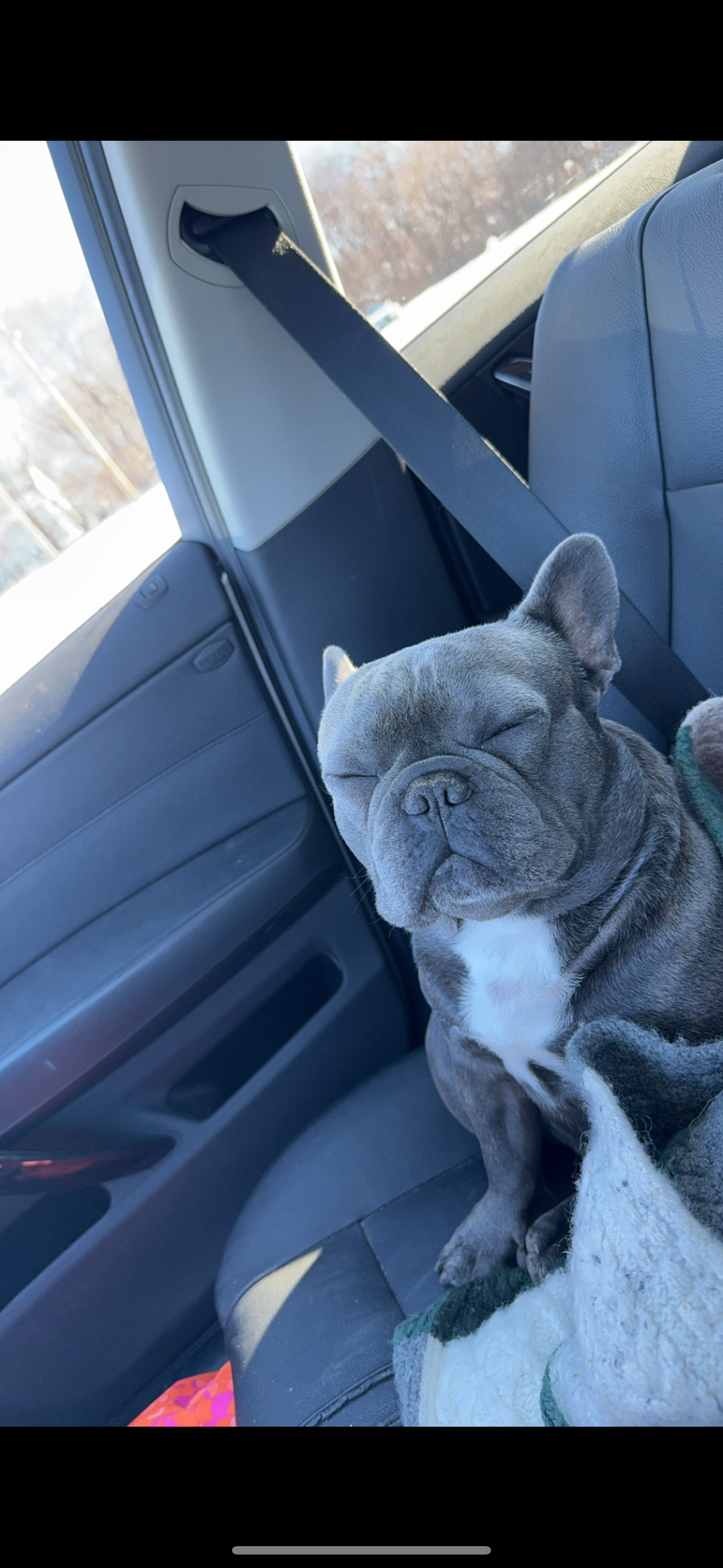 Donate to Save murfeys life campaign photo, 2 of 6