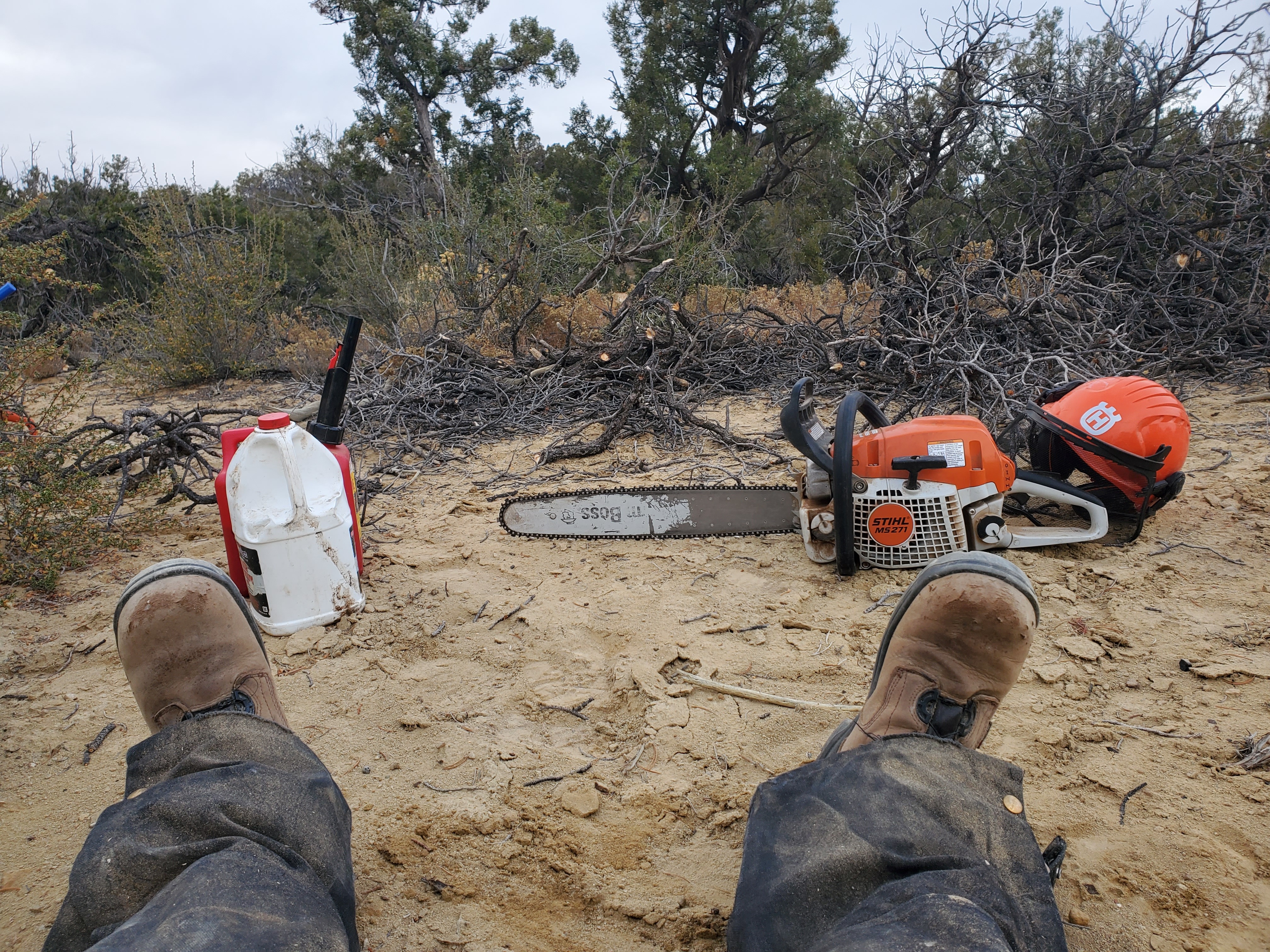 2025 Winter Resiliency and Firewood Camp campaign photo, 4 of 6