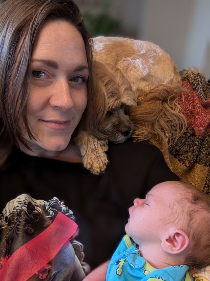 Donate to help our family dog Goldie-Girl in her recovery campaign photo, 7 of 8