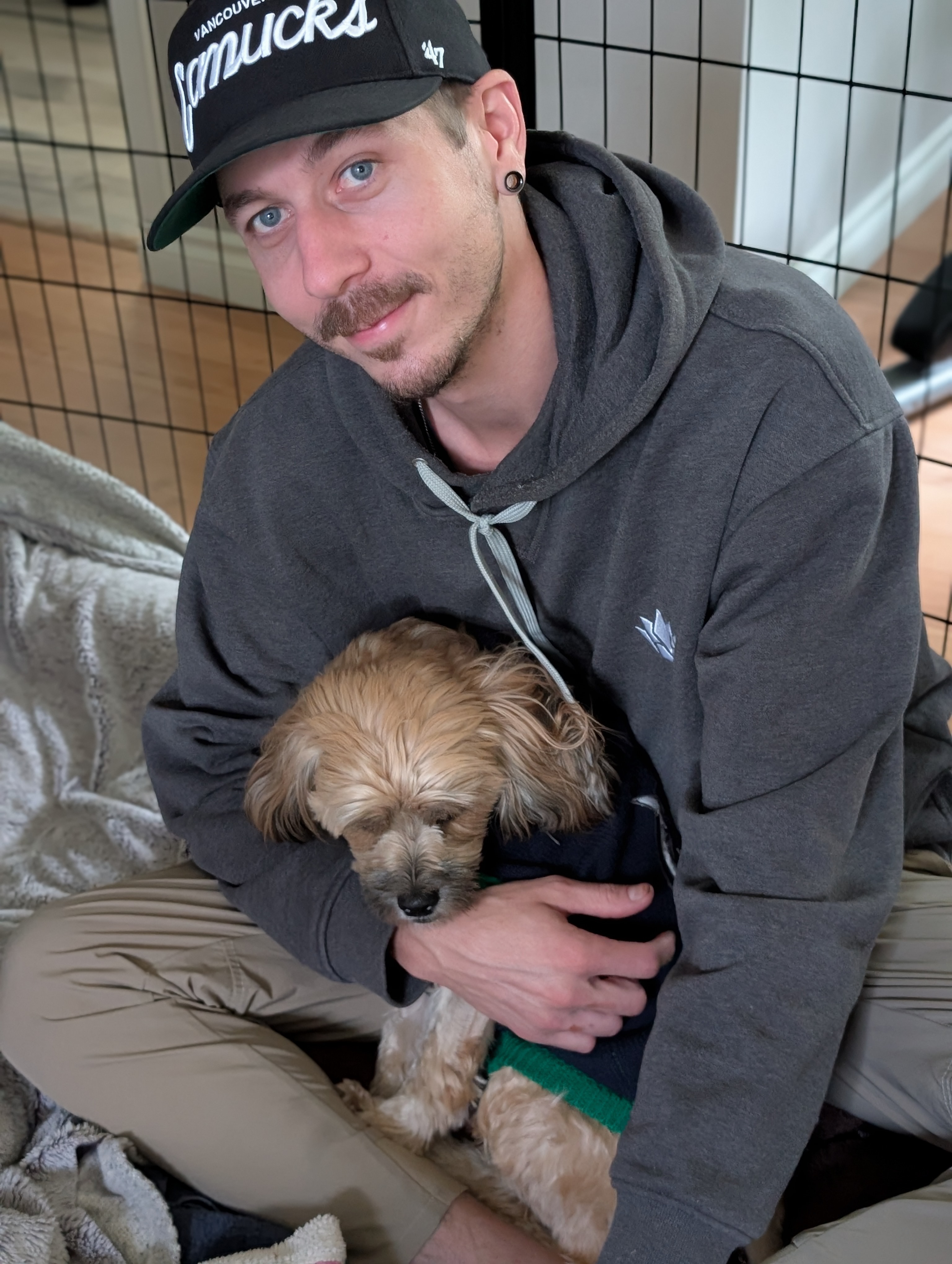 Donate to help our family dog Goldie-Girl in her recovery campaign photo, 4 of 8