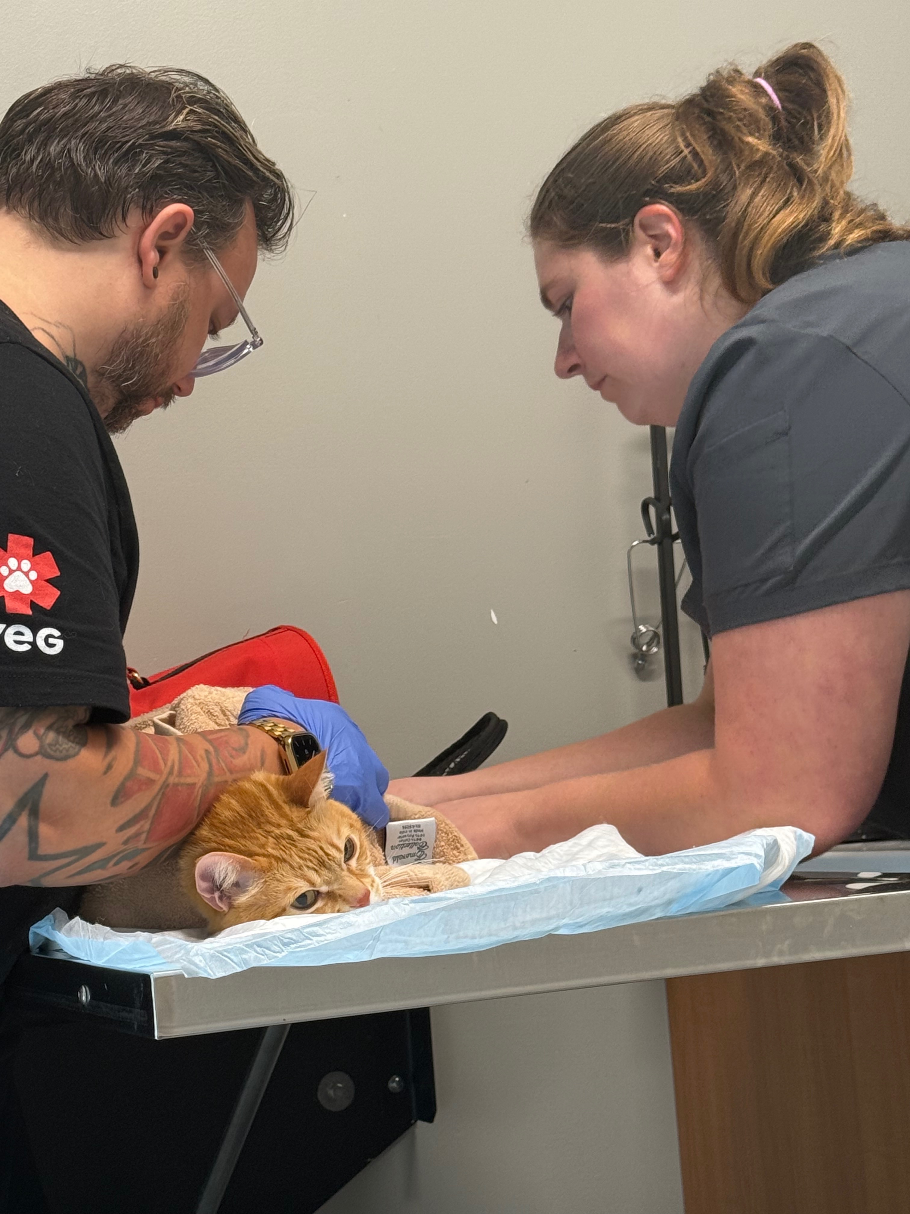 Help Maki To Cover His Recovery campaign photo, 5 of 6