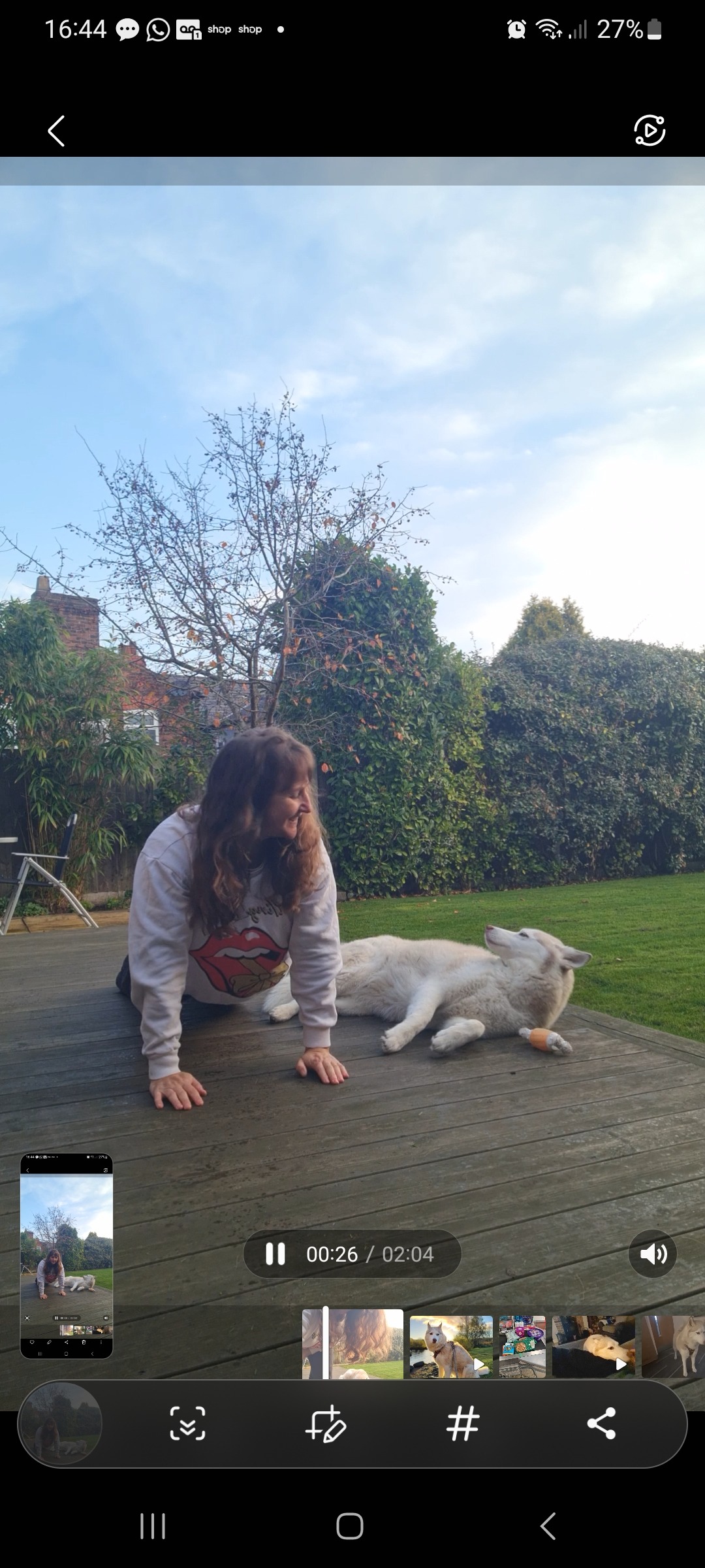 I'm planking to help more dogs find forever homes campaign photo, 2 of 7