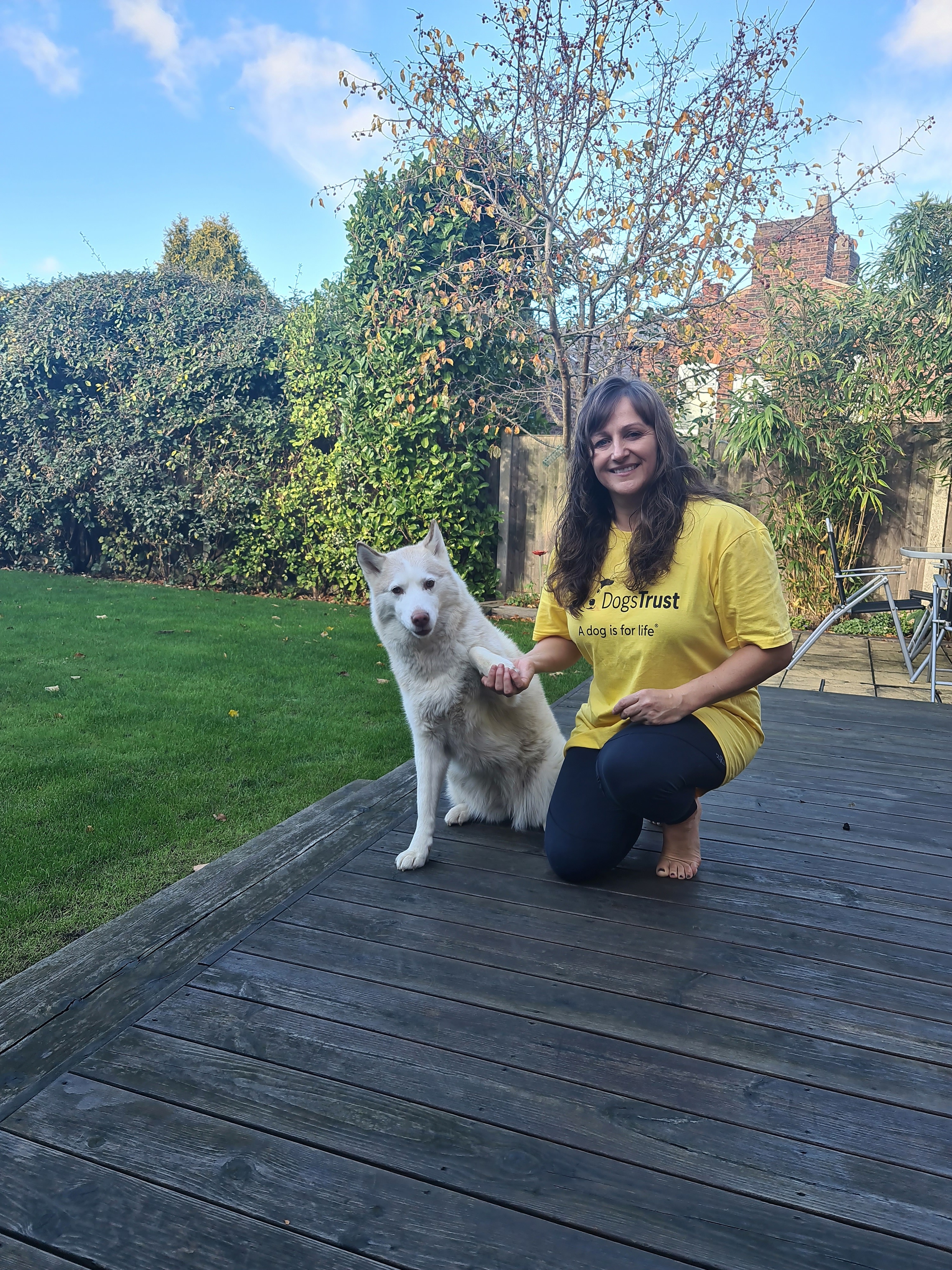 I'm planking to help more dogs find forever homes campaign photo, 4 of 7