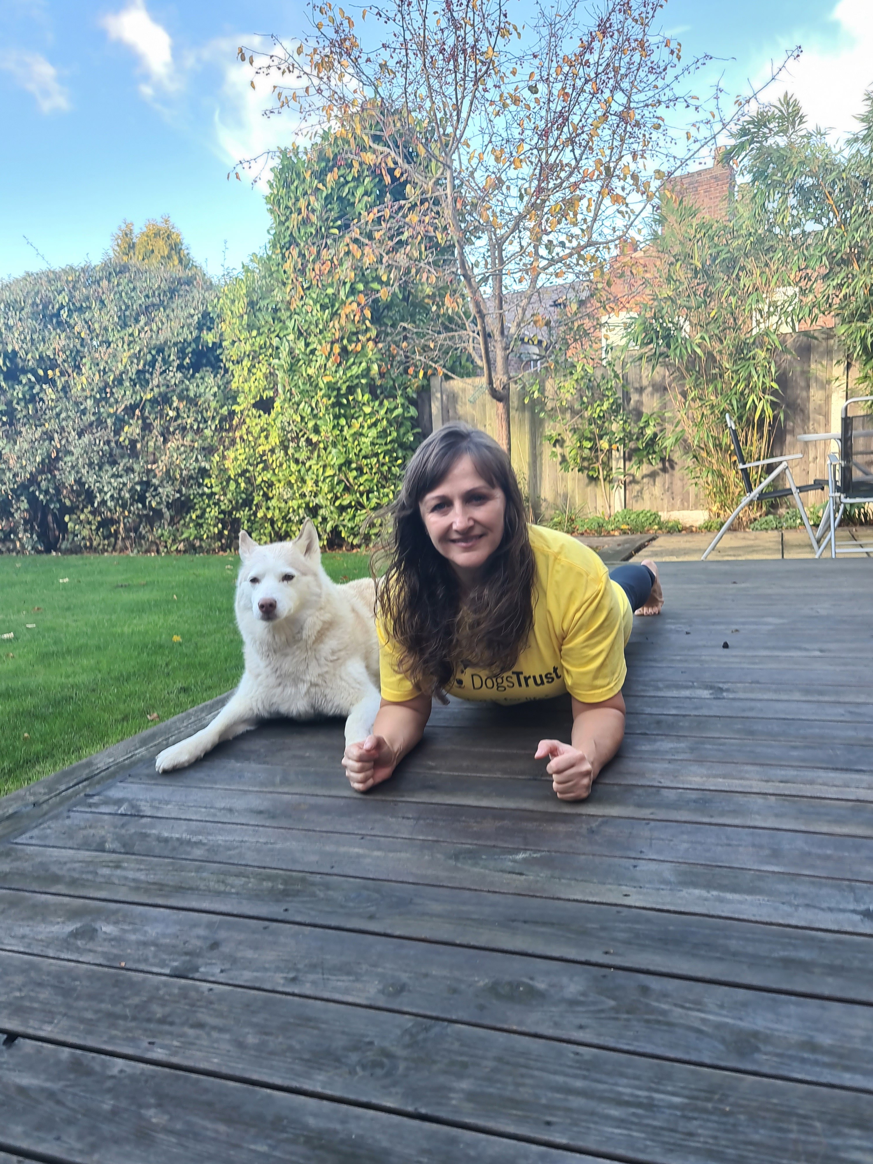 I'm planking to help more dogs find forever homes campaign photo, 5 of 7