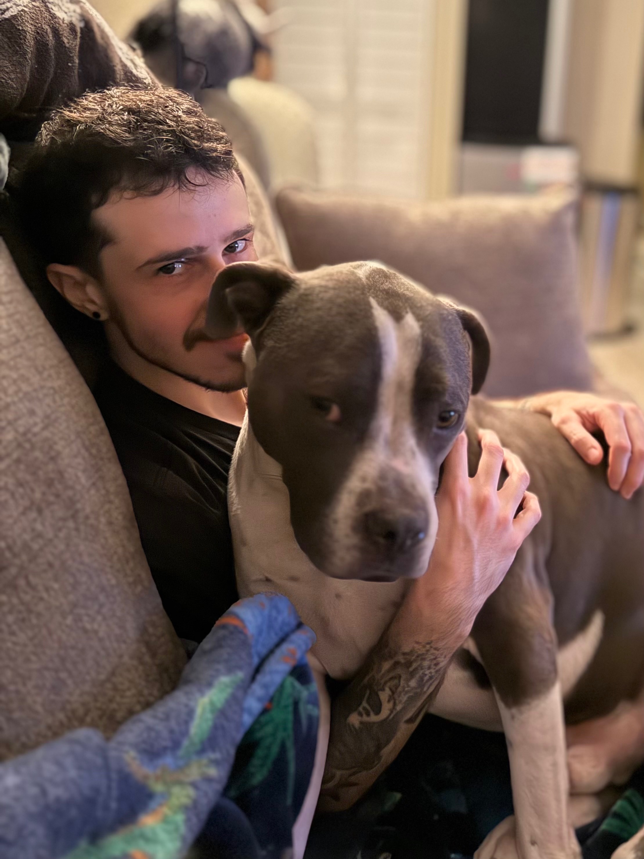 Julian & Zeppelin After Emergency Surgery campaign photo, 2 of 7