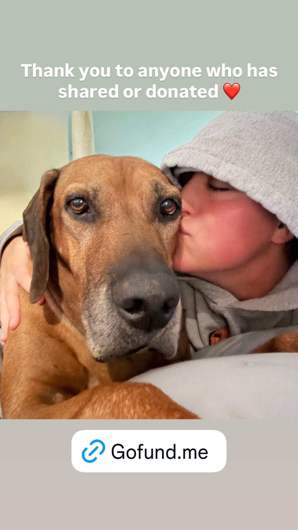 Comfort and Care for KC's Battle with Cancer campaign photo, 7 of 8