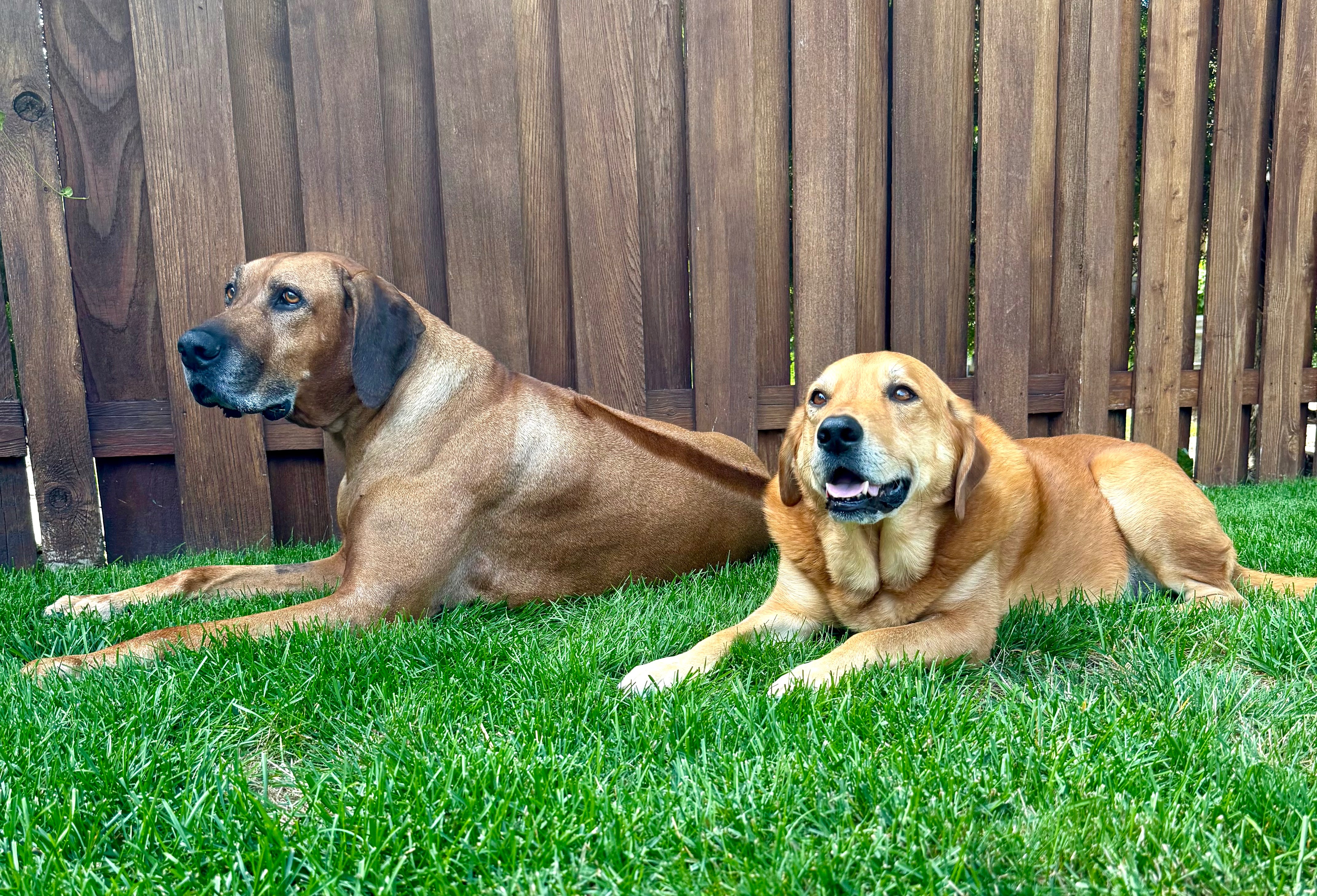 Comfort and Care for KC's Battle with Cancer campaign photo, 6 of 8