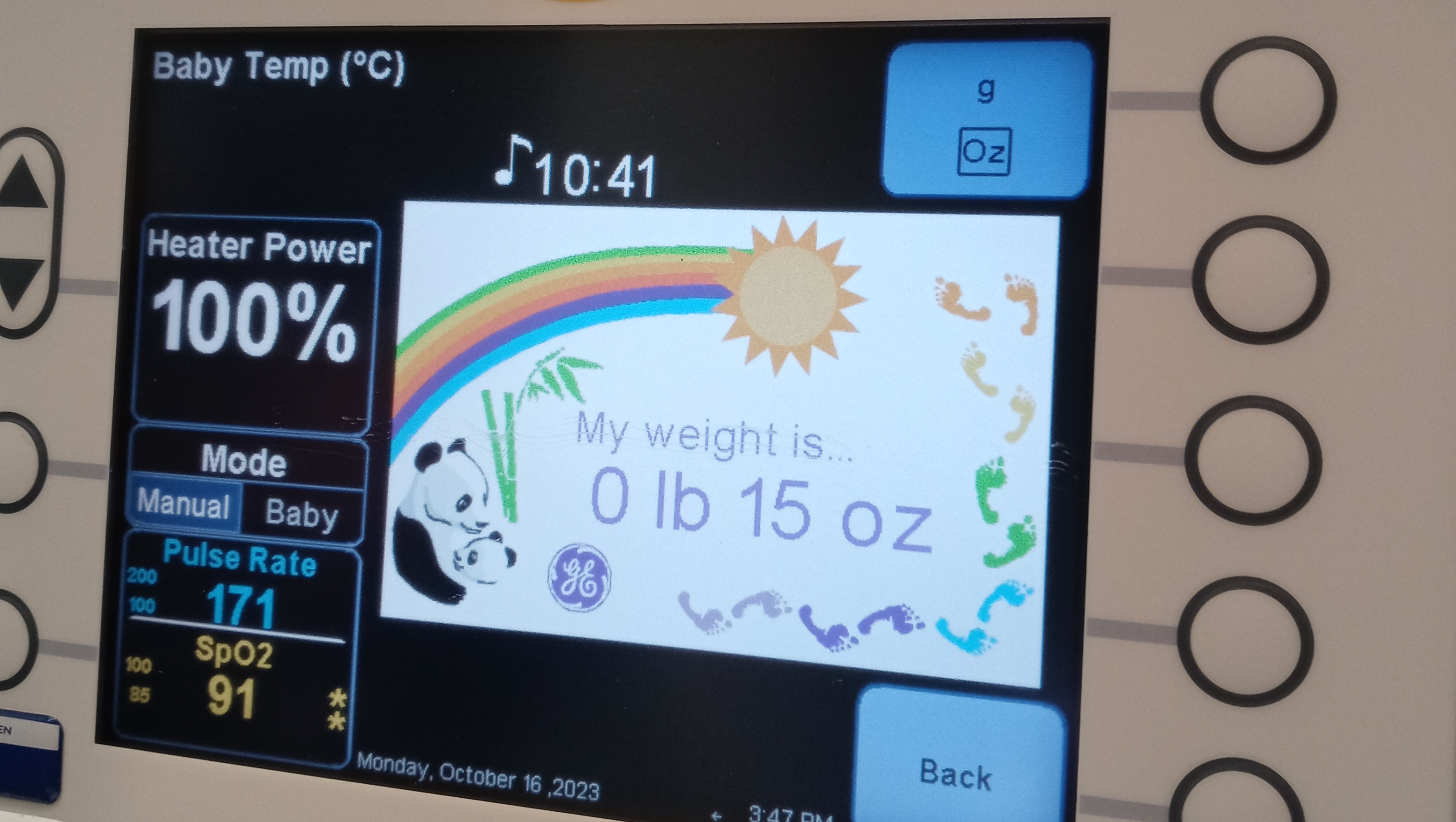 The Little Button That Could photo