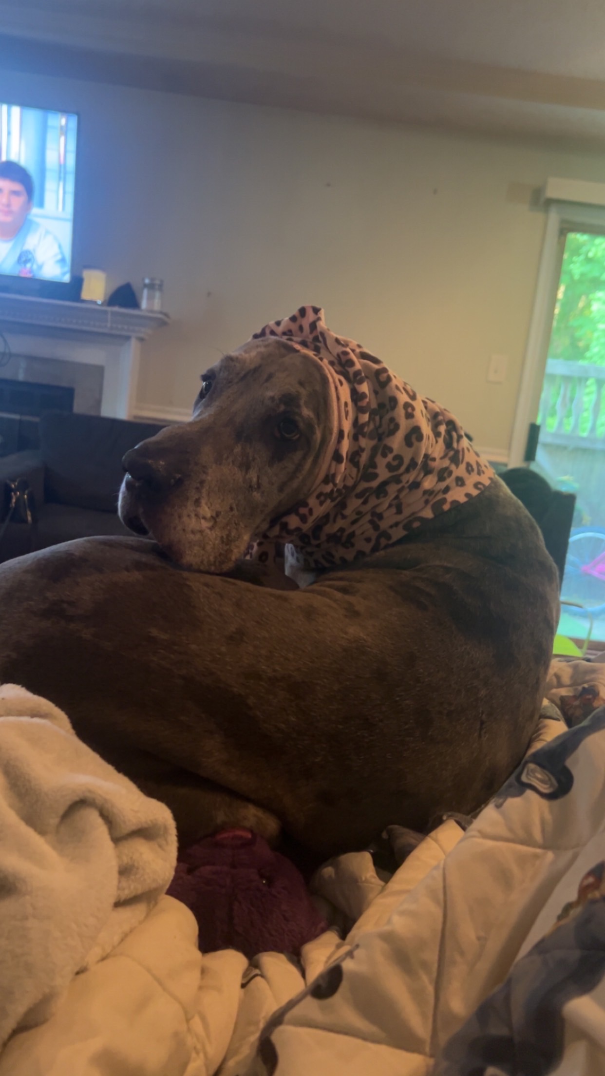 Urgent Surgery for Thor: Aid Chase and Max campaign photo, 2 of 5