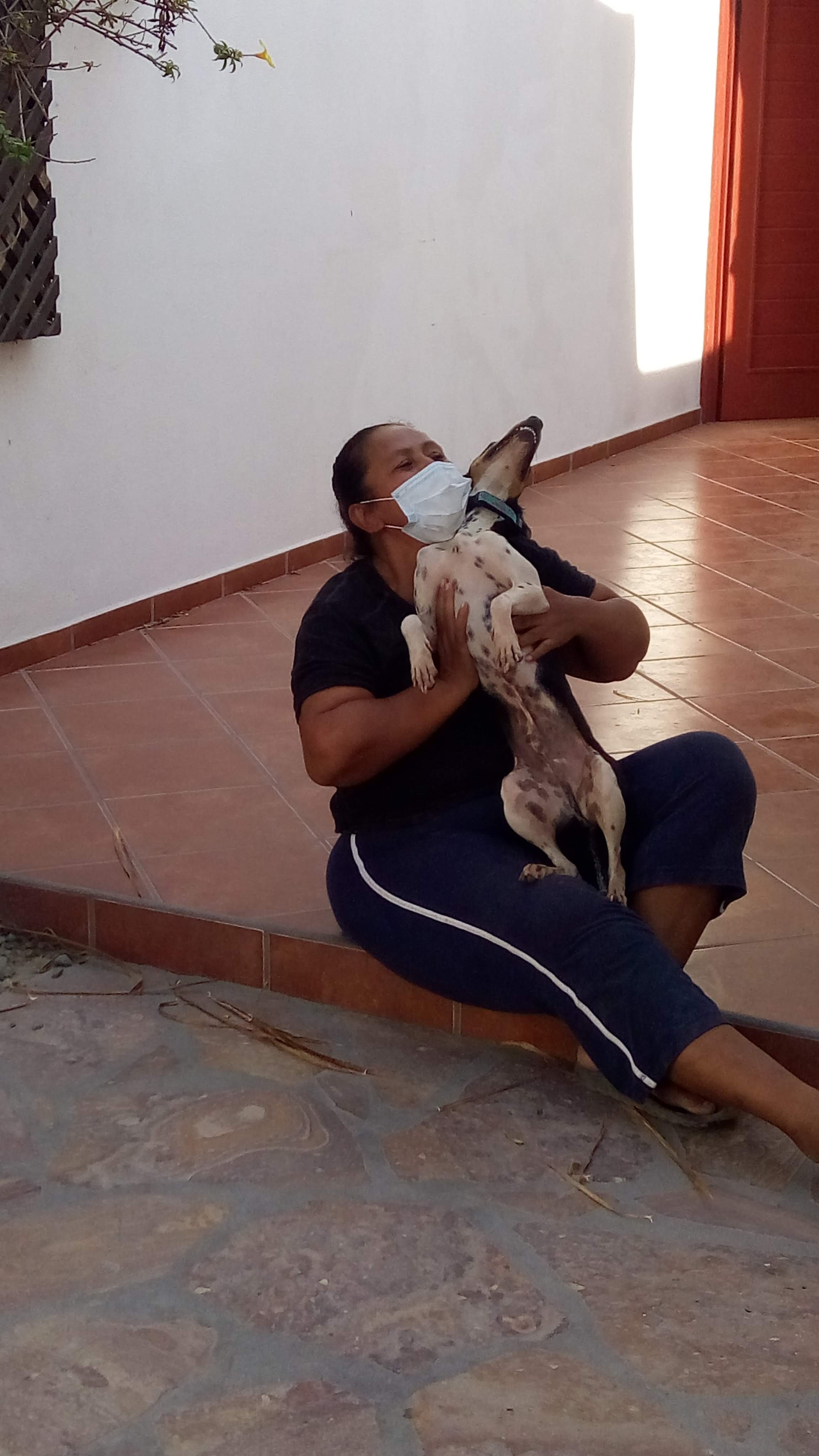 Build a New Refuge for Rescue Dogs Who Are Losing Their Home campaign photo, 7 of 8