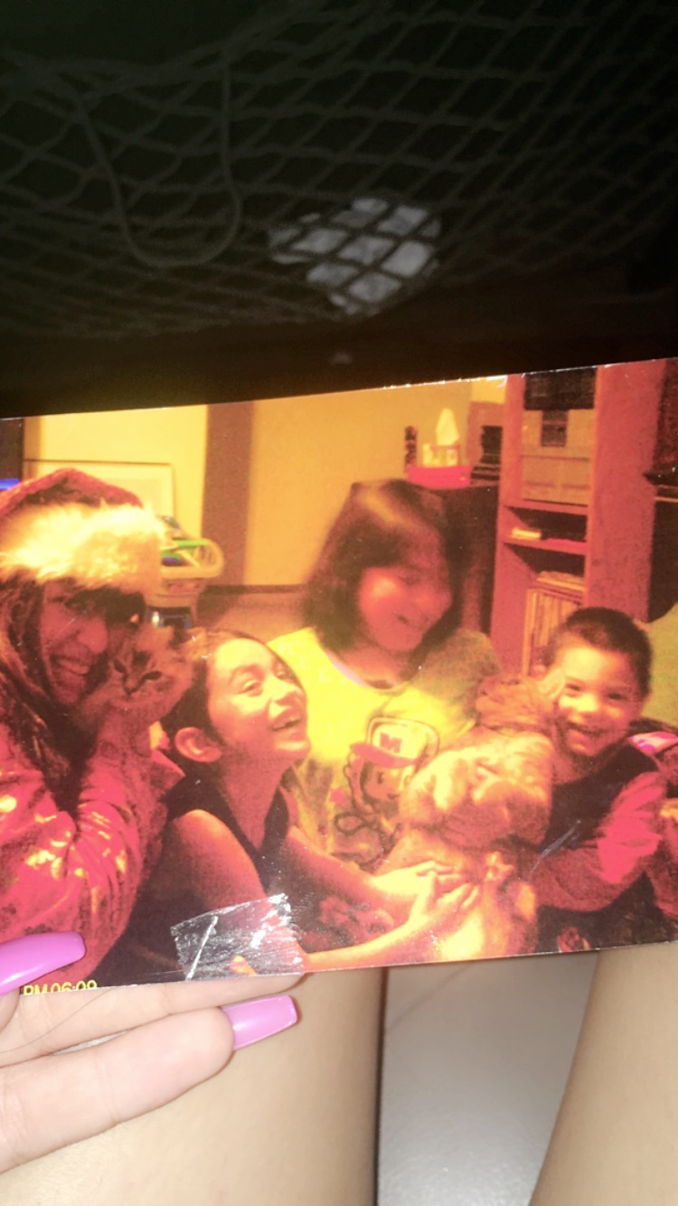 User-uploaded image 2