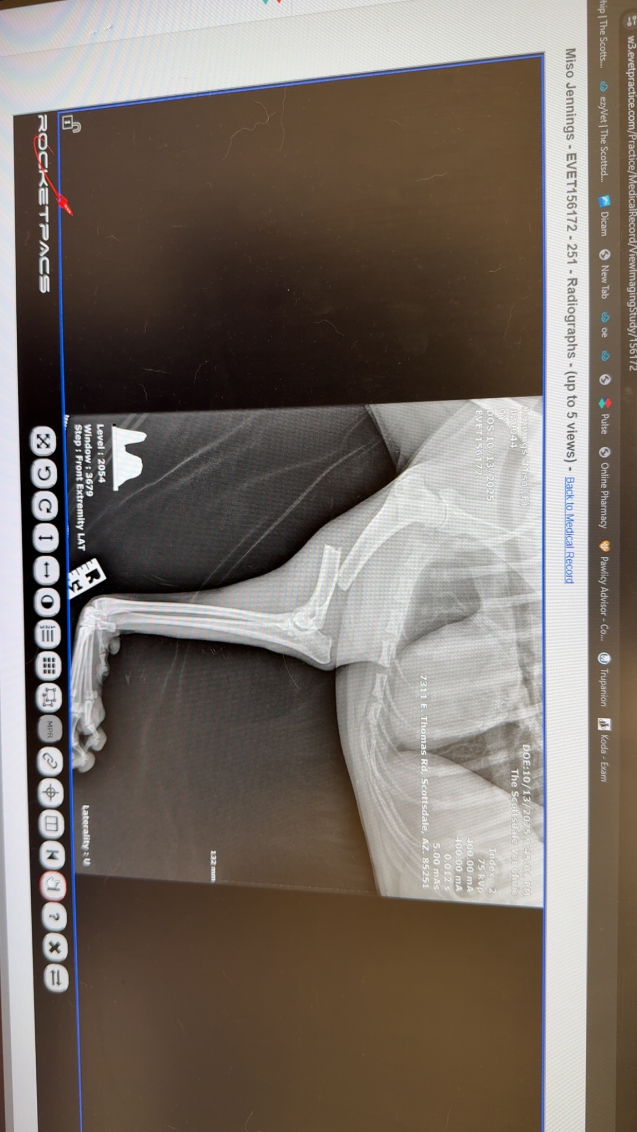 Misos Surgery campaign photo, 2 of 5