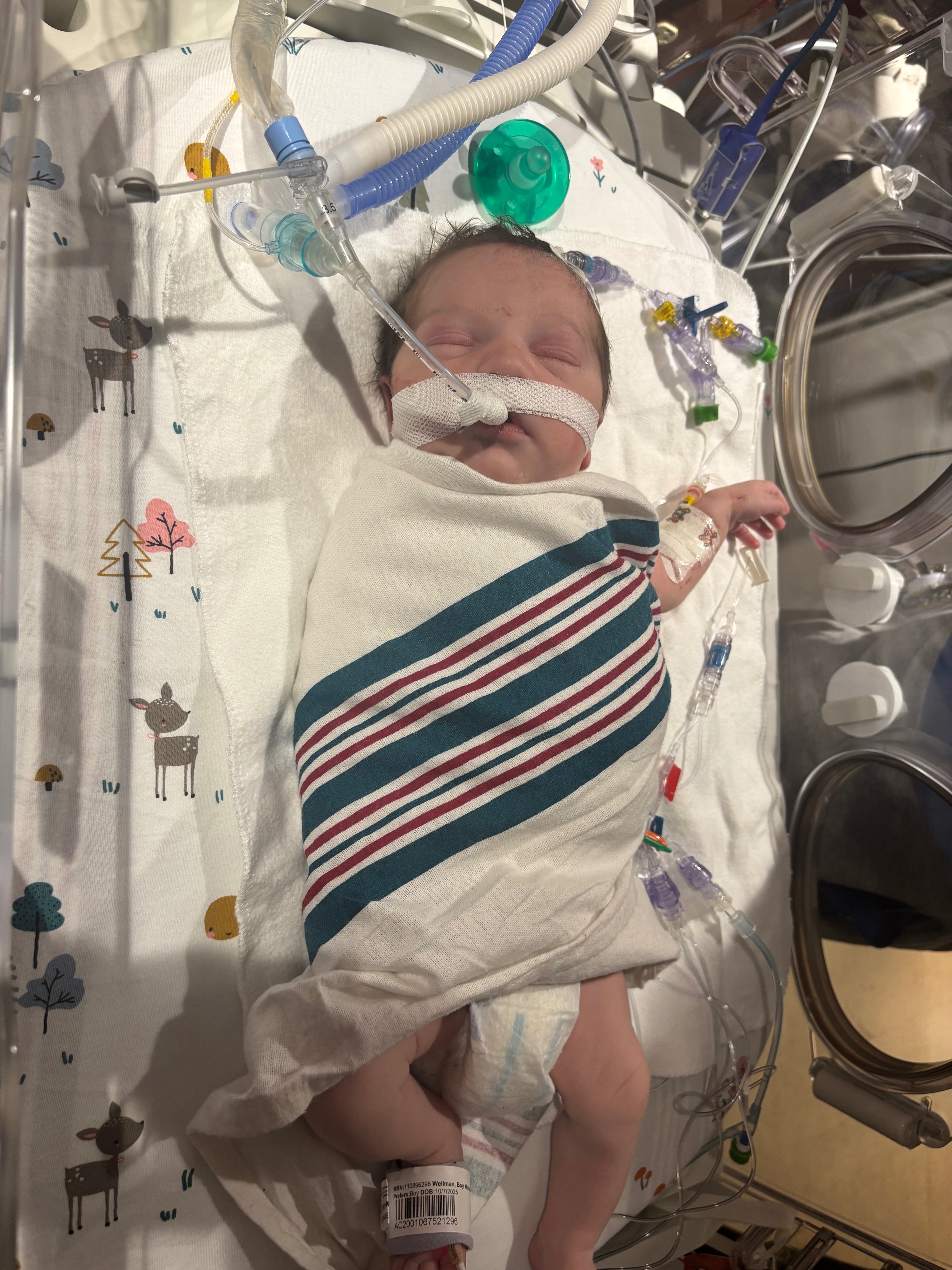 Aid Jackson's Fight in the NICU campaign photo, 2 of 4