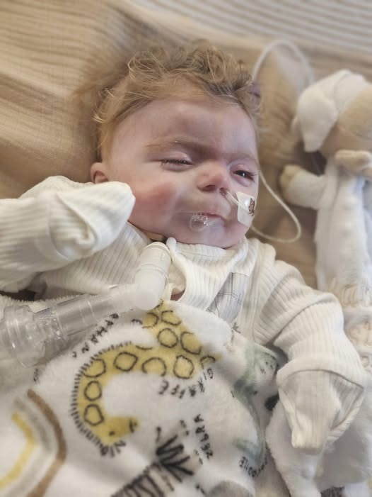 User-uploaded image 1