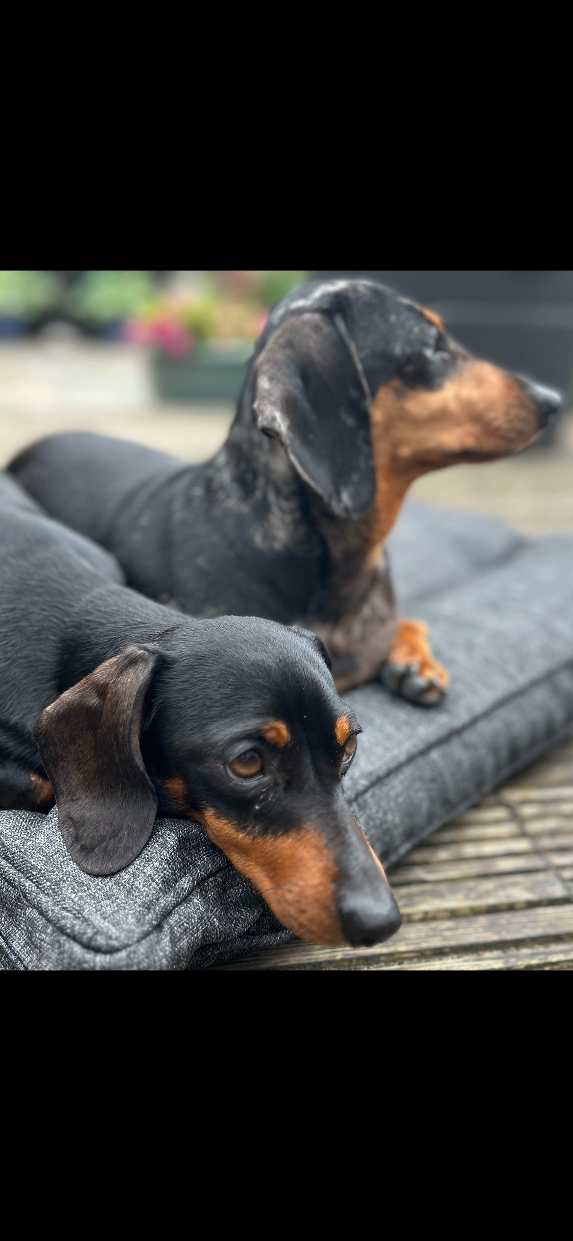 Please donate towards cost of Olive & Bagel’s Spey campaign photo, 4 of 7