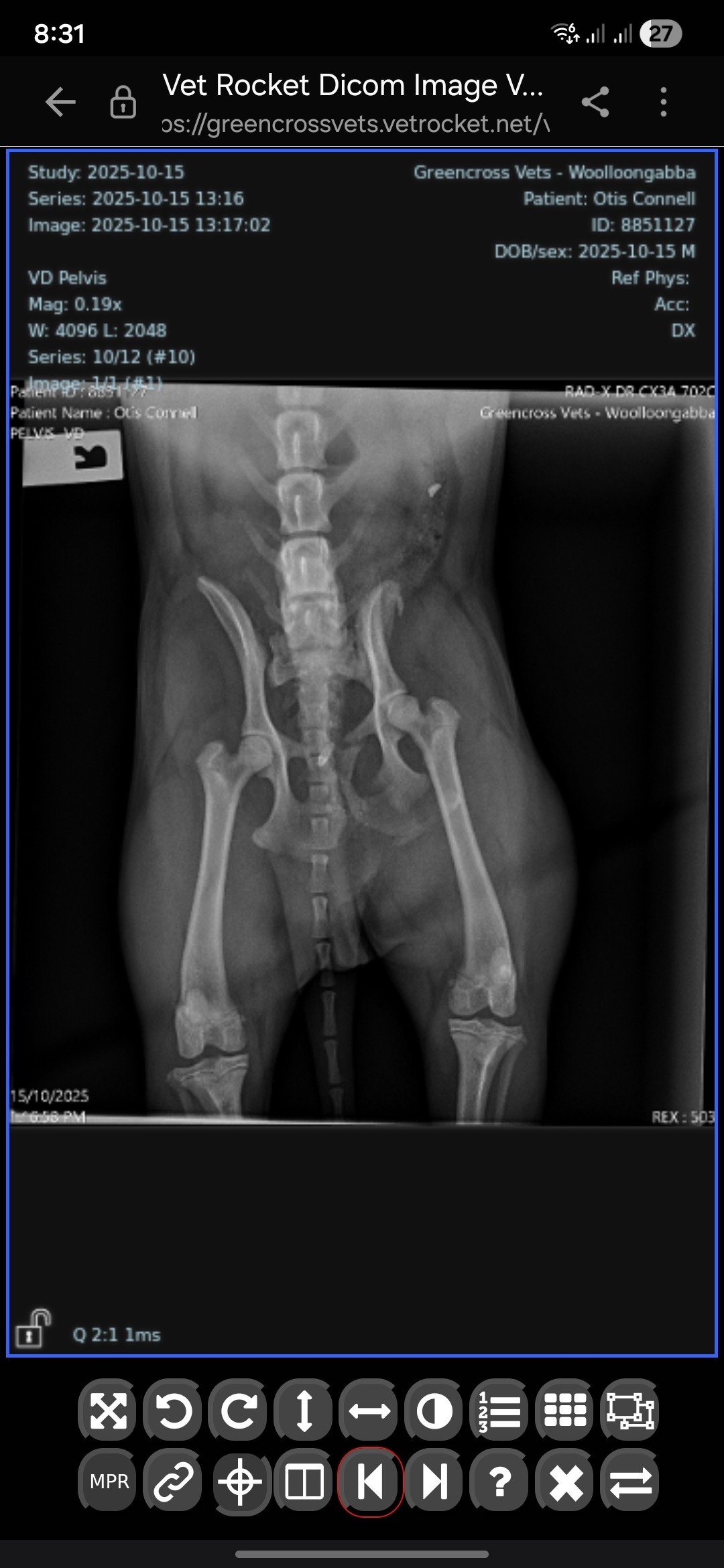 Otis' surgery campaign photo, 4 of 7