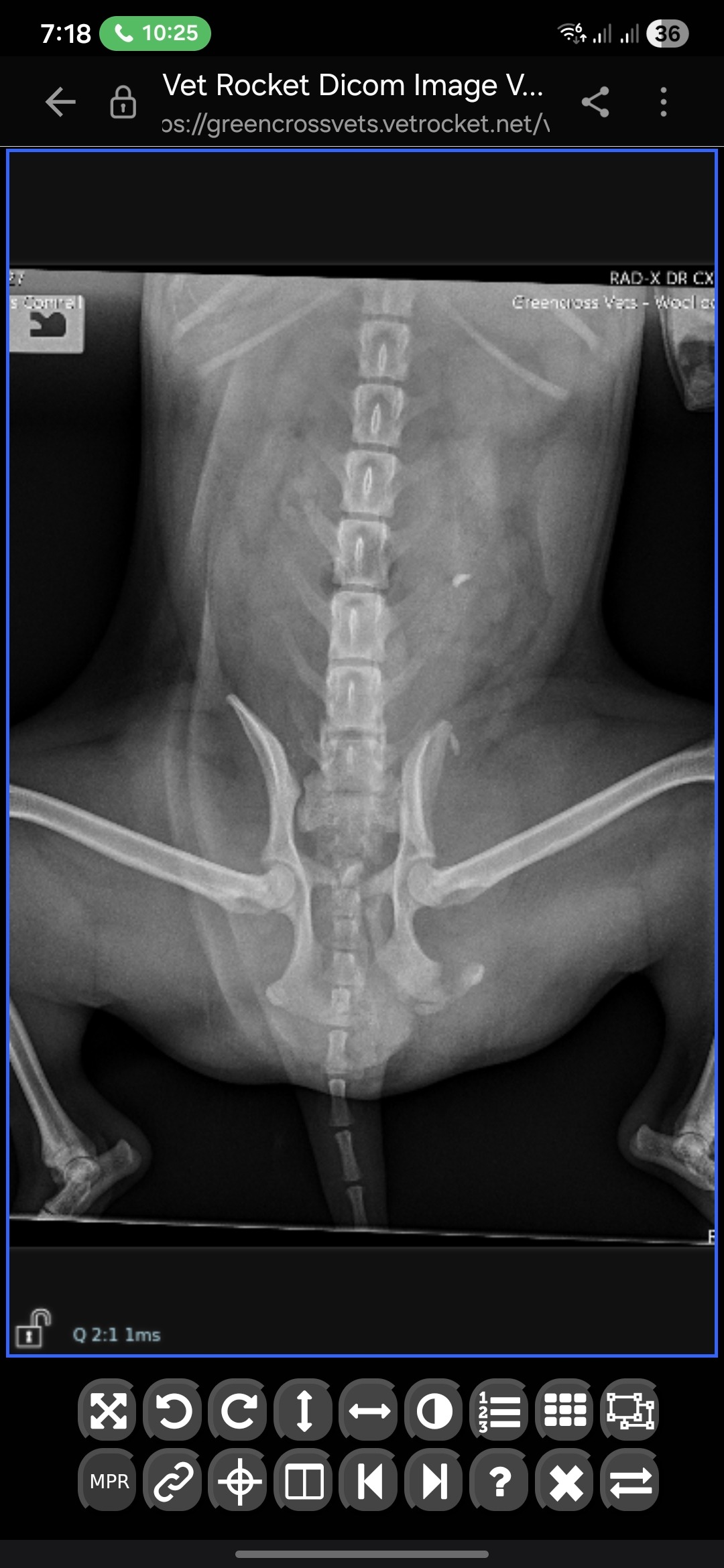 Otis' surgery campaign photo, 6 of 7