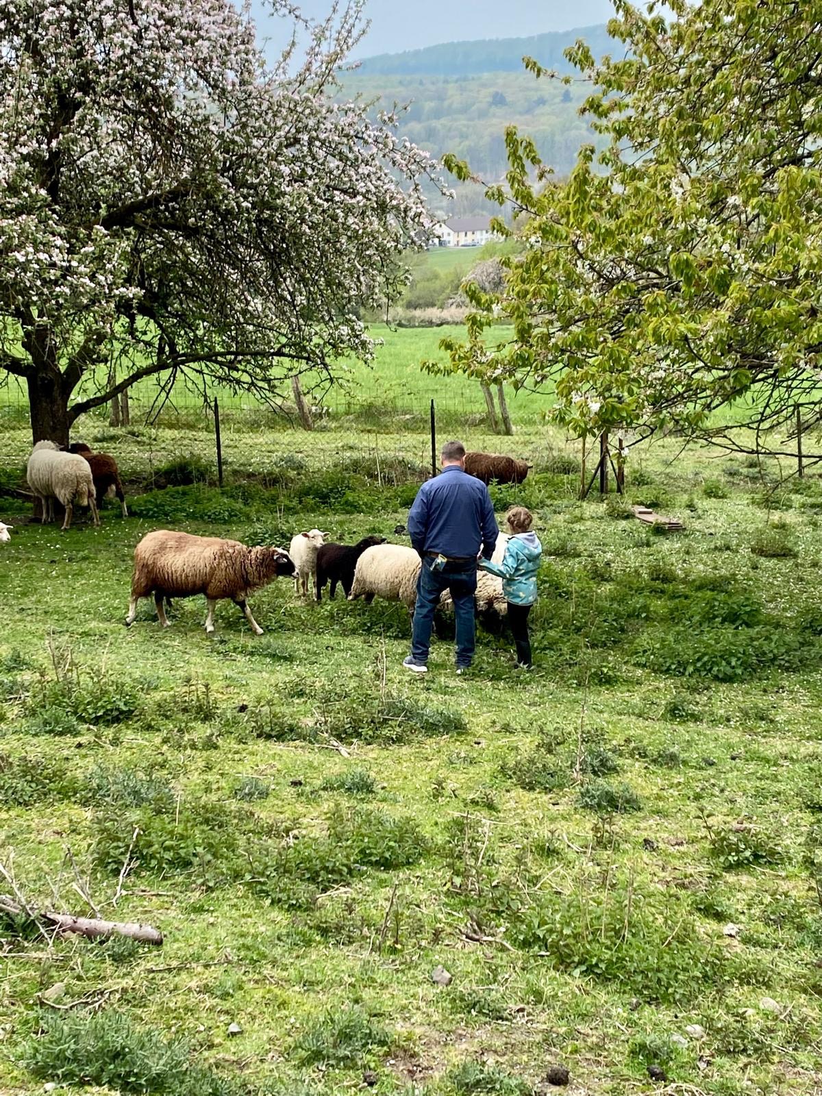 Rettung der Landwirtschaft campaign photo, 2 of 8