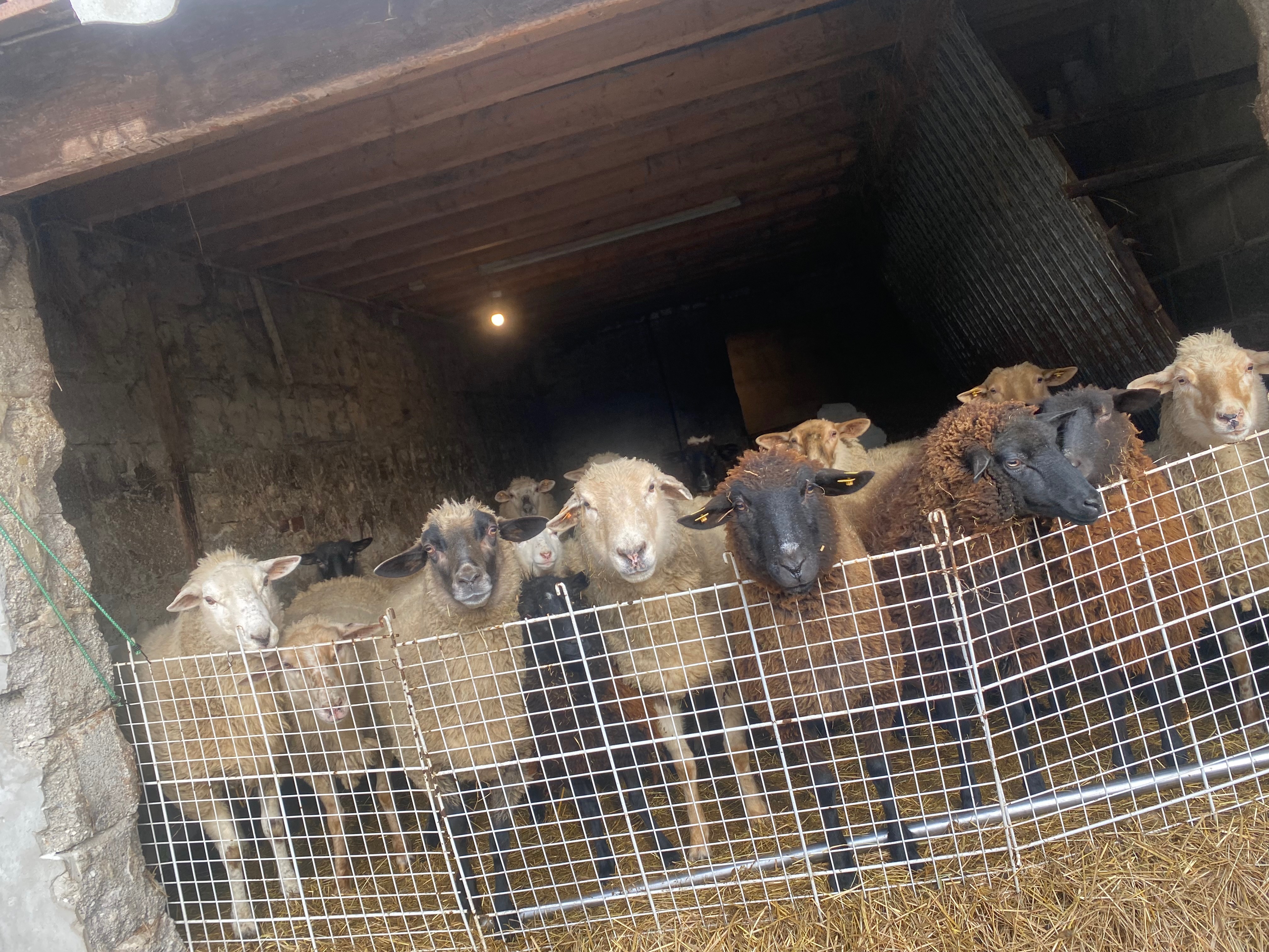 Rettung der Landwirtschaft campaign photo, 4 of 8