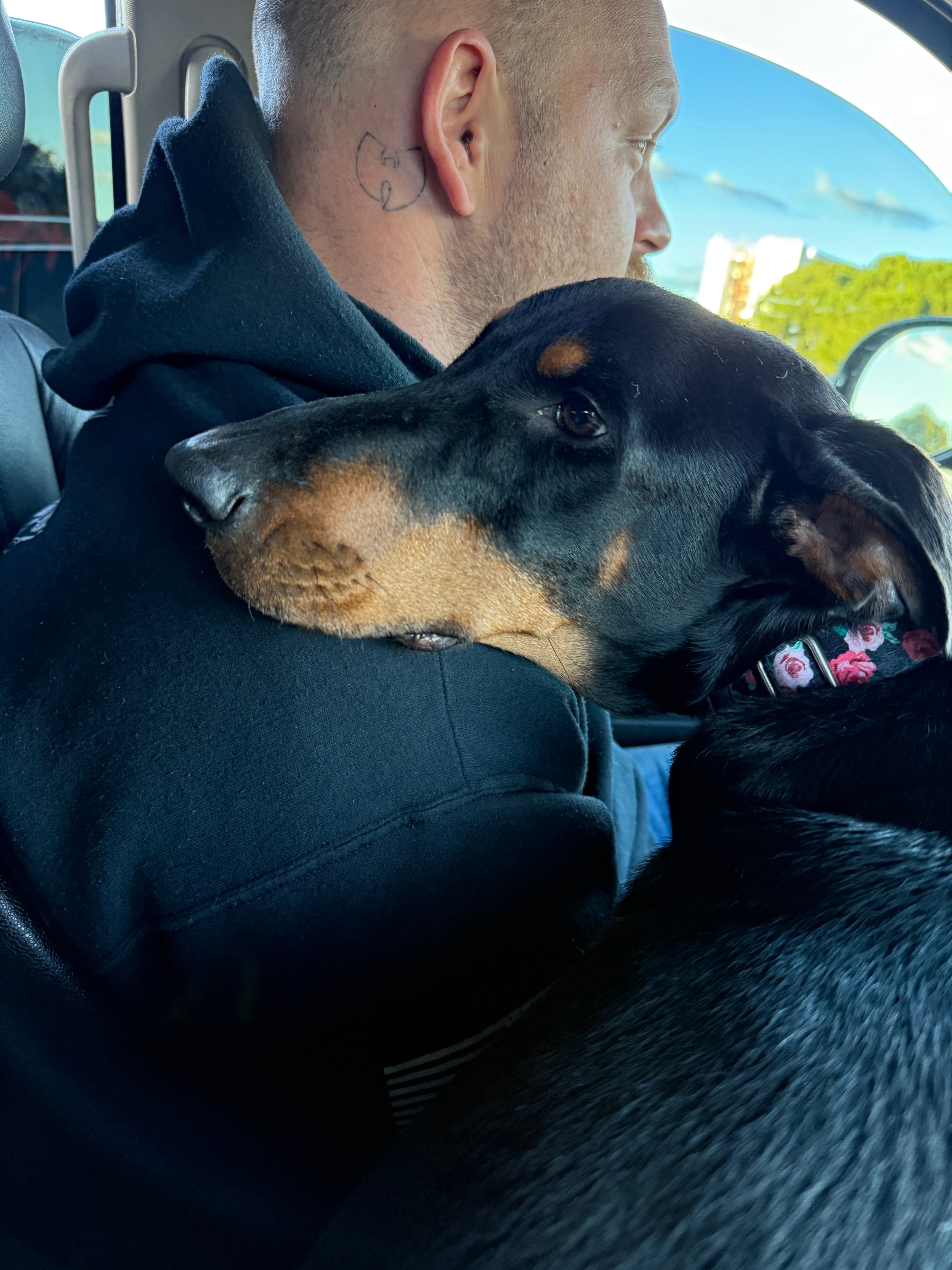Help Our Sweet Doberman Rose Fight Kidney Disease campaign photo, 5 of 8