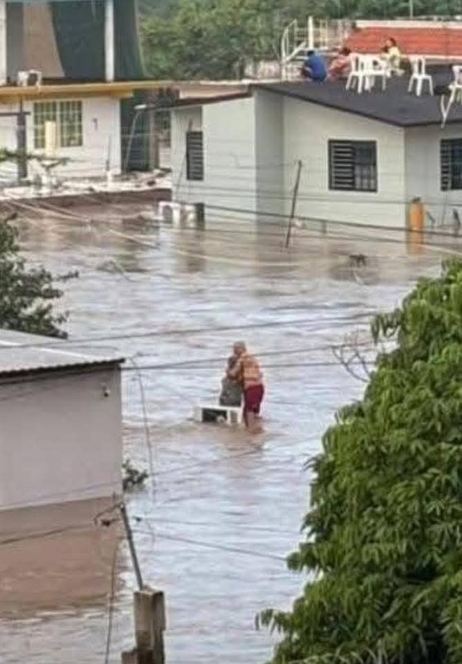 Flood Relief for People and Animals campaign photo, 2 of 8