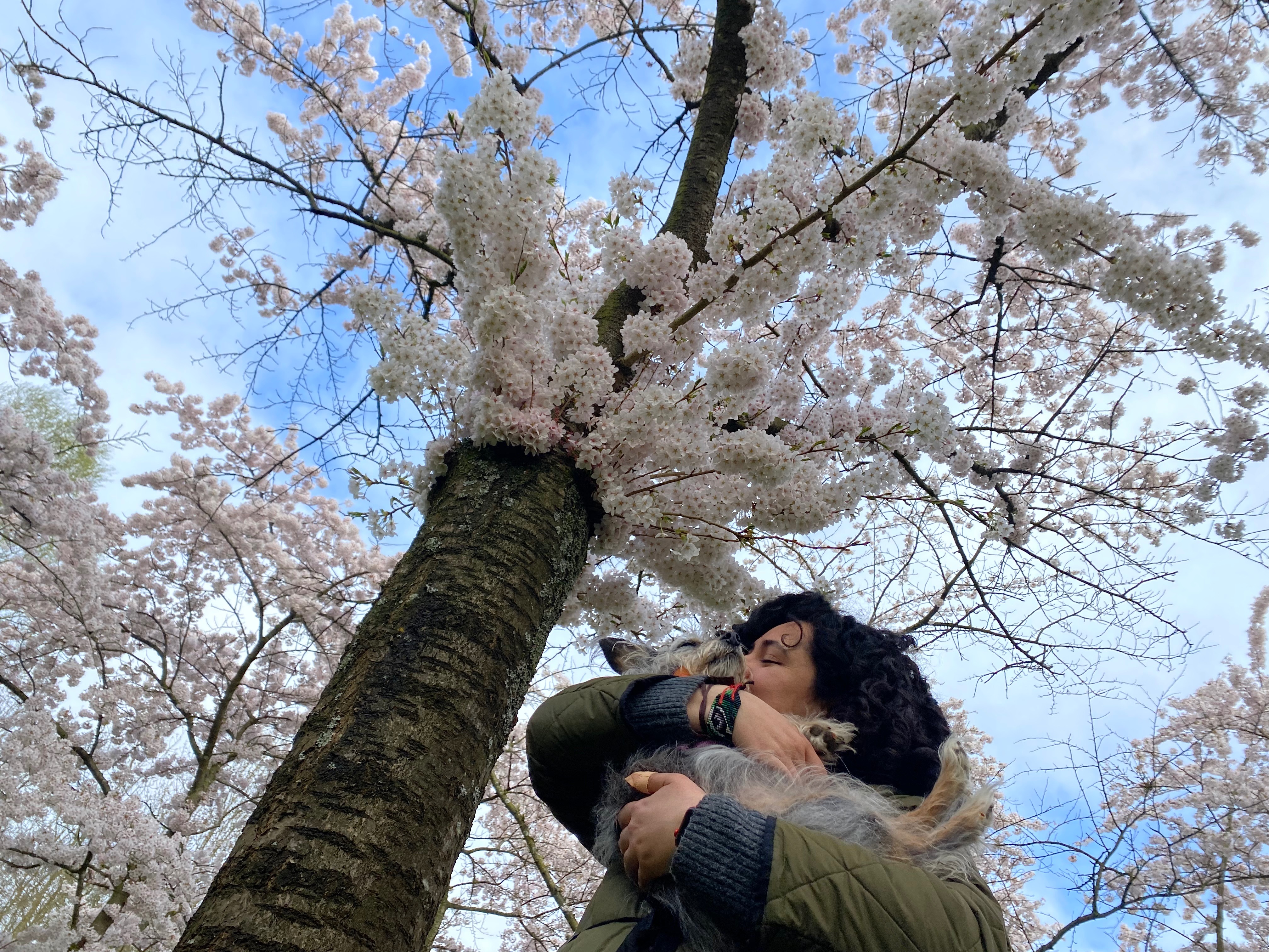 Help us get home safely — Paloma, Xué & Tomás campaign photo, 2 of 5