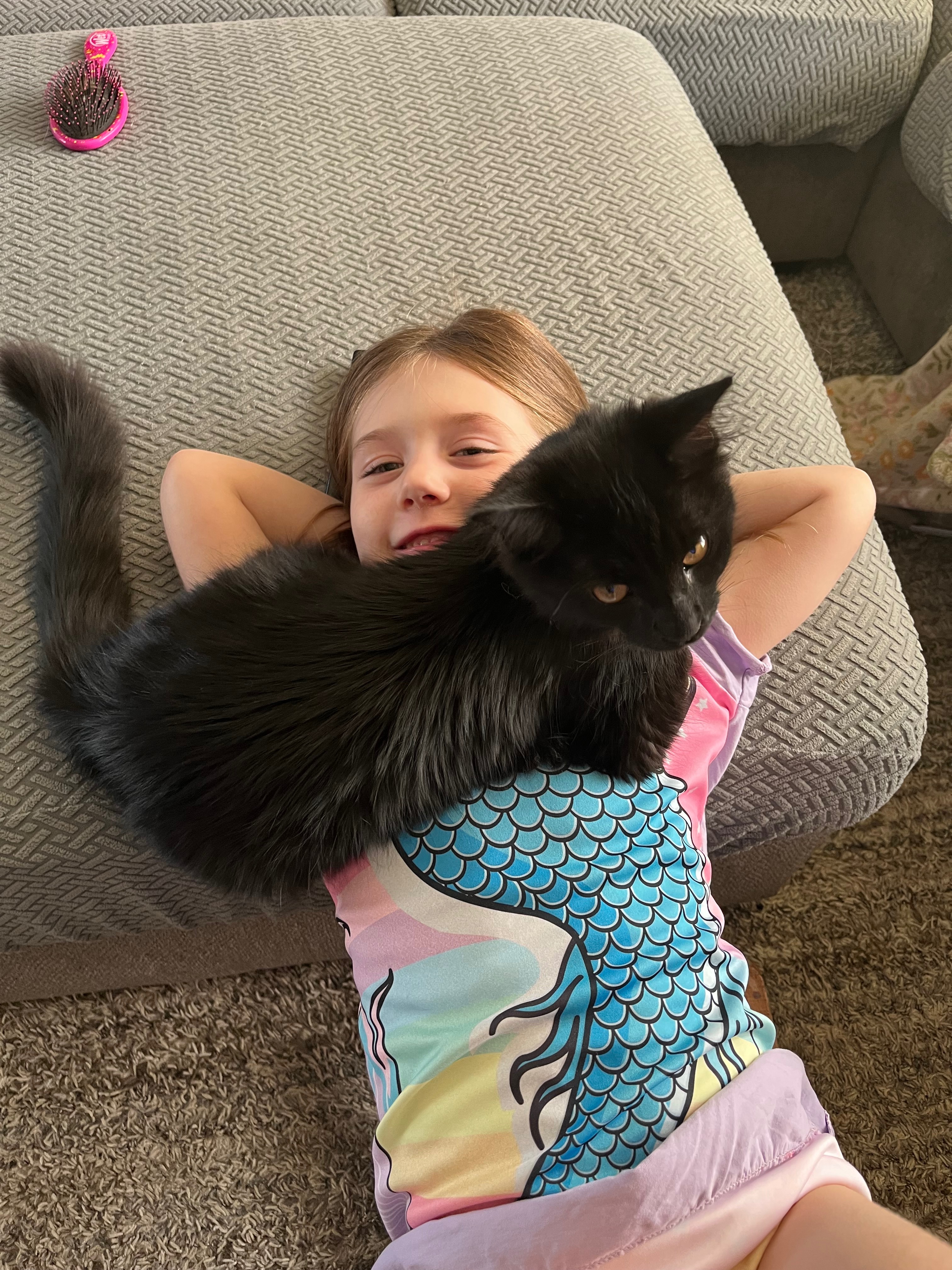 Help Bluey Beat FIP! campaign photo, 5 of 8