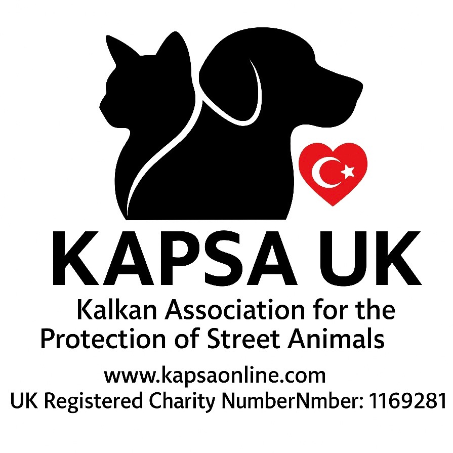 Urgent Winter Feeding Appeal - Feed A Friend campaign photo, 6 of 7