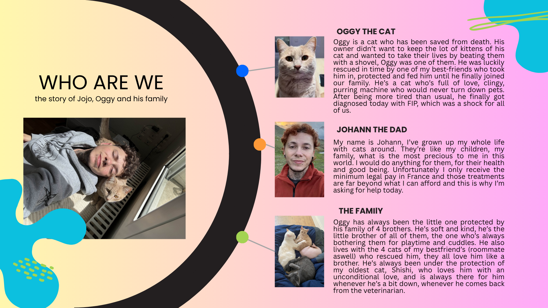 Save Oggy from FIP - Sauvez Oggy de la PIF campaign photo, 4 of 4