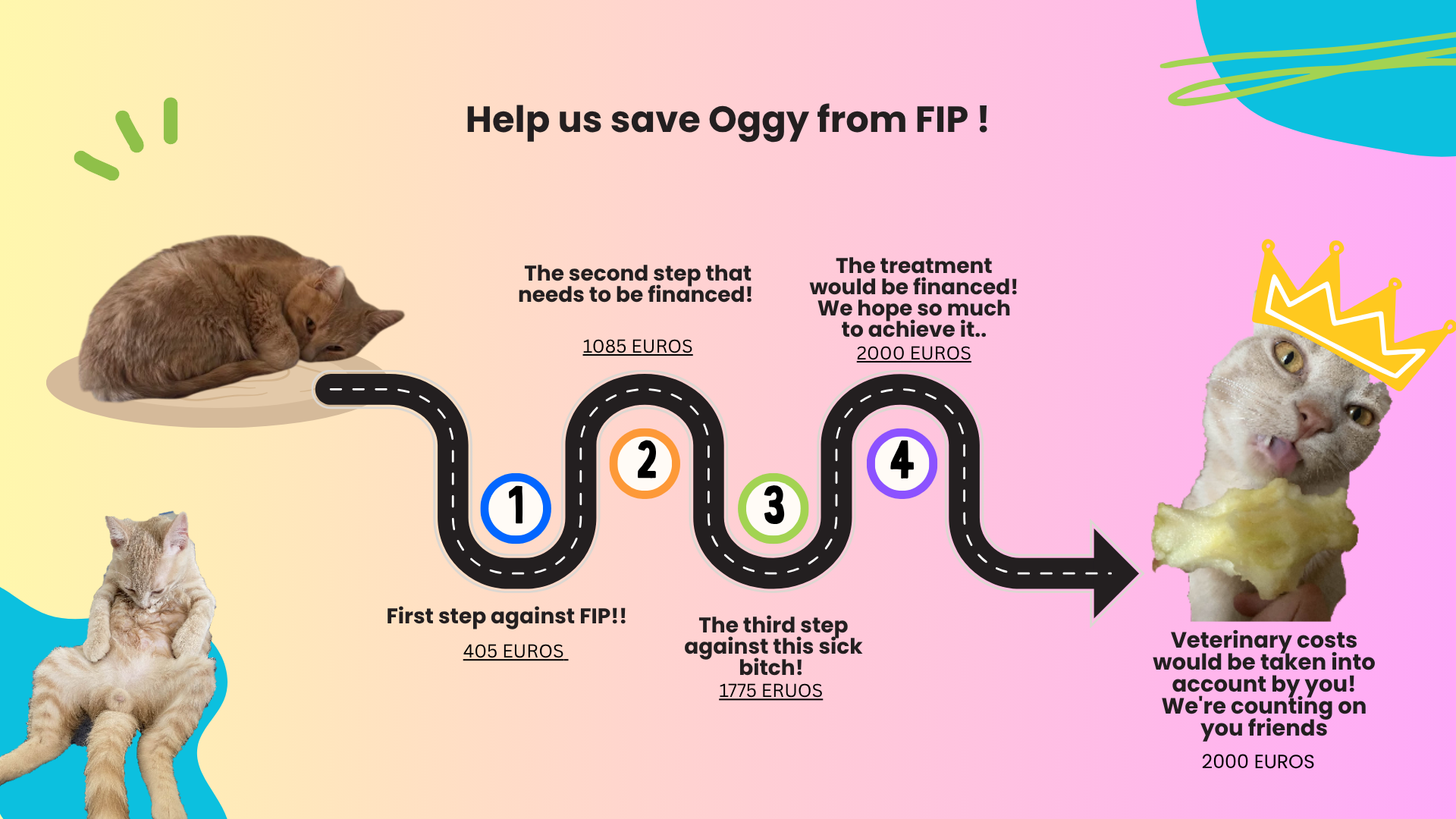 Save Oggy from FIP - Sauvez Oggy de la PIF campaign photo, 2 of 4
