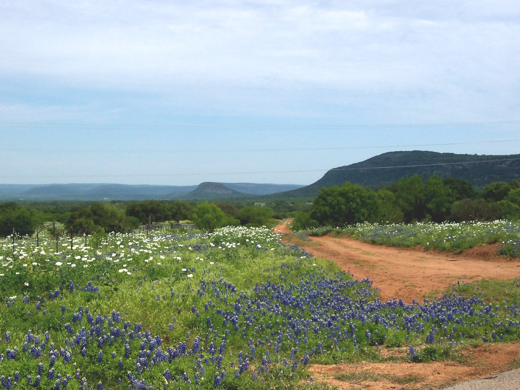 Donate to support the Violet Crown Trail! campaign photo, 2 of 5