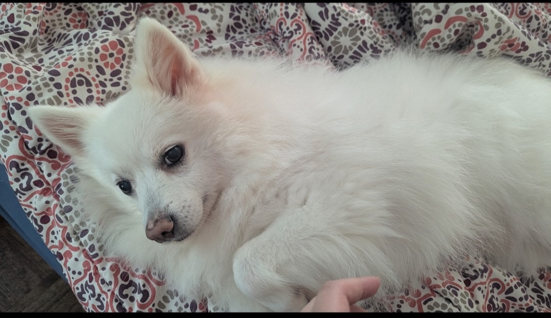 User-uploaded image 1